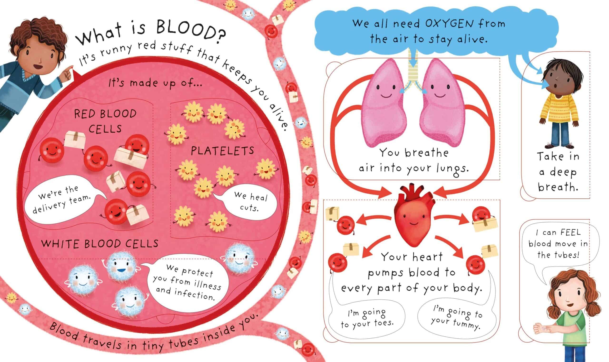 Lift-the-flap Very First Questions and Answers What's inside me?