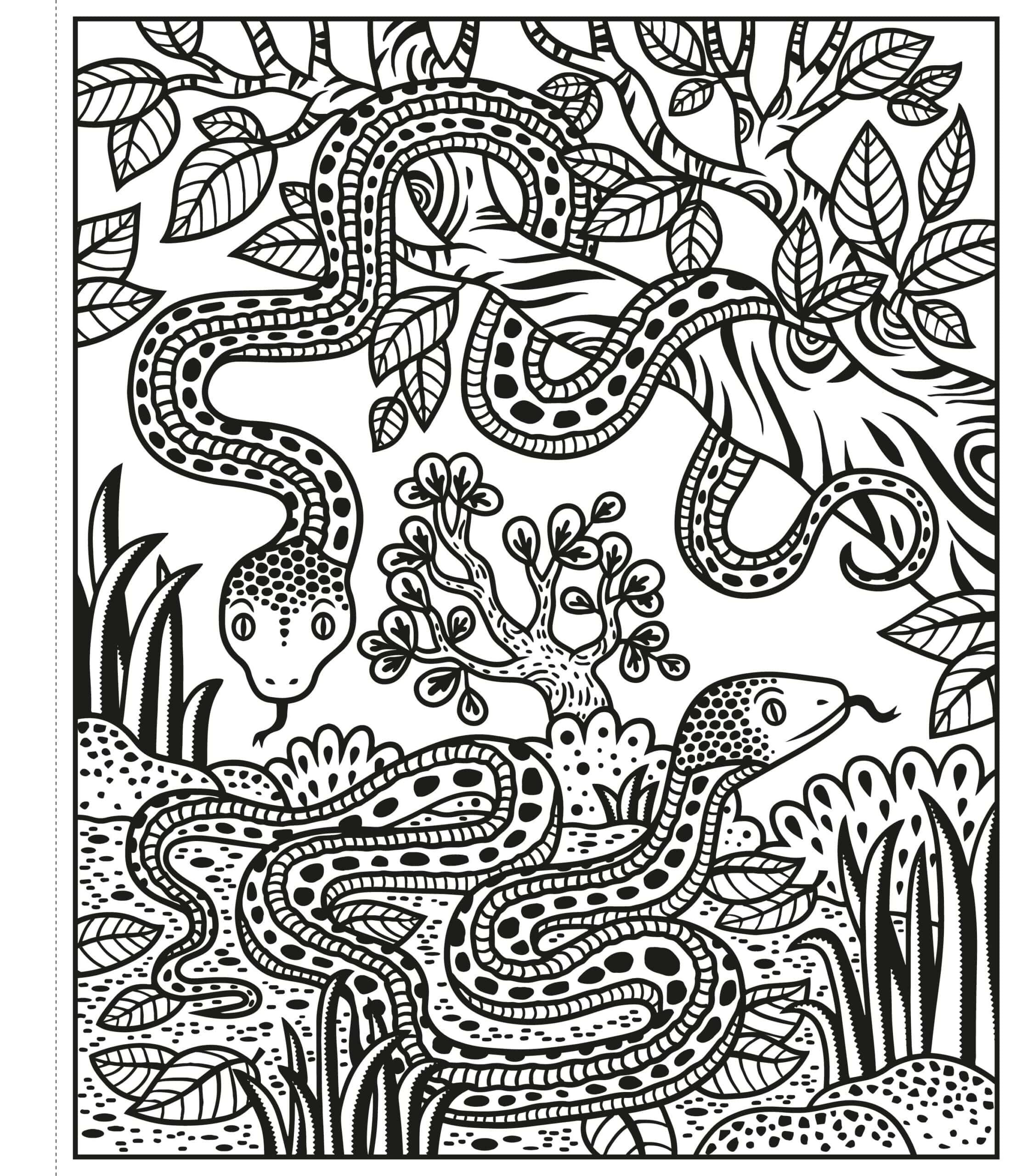Carte de pictat cu apa - Zoo Magic Painting Book