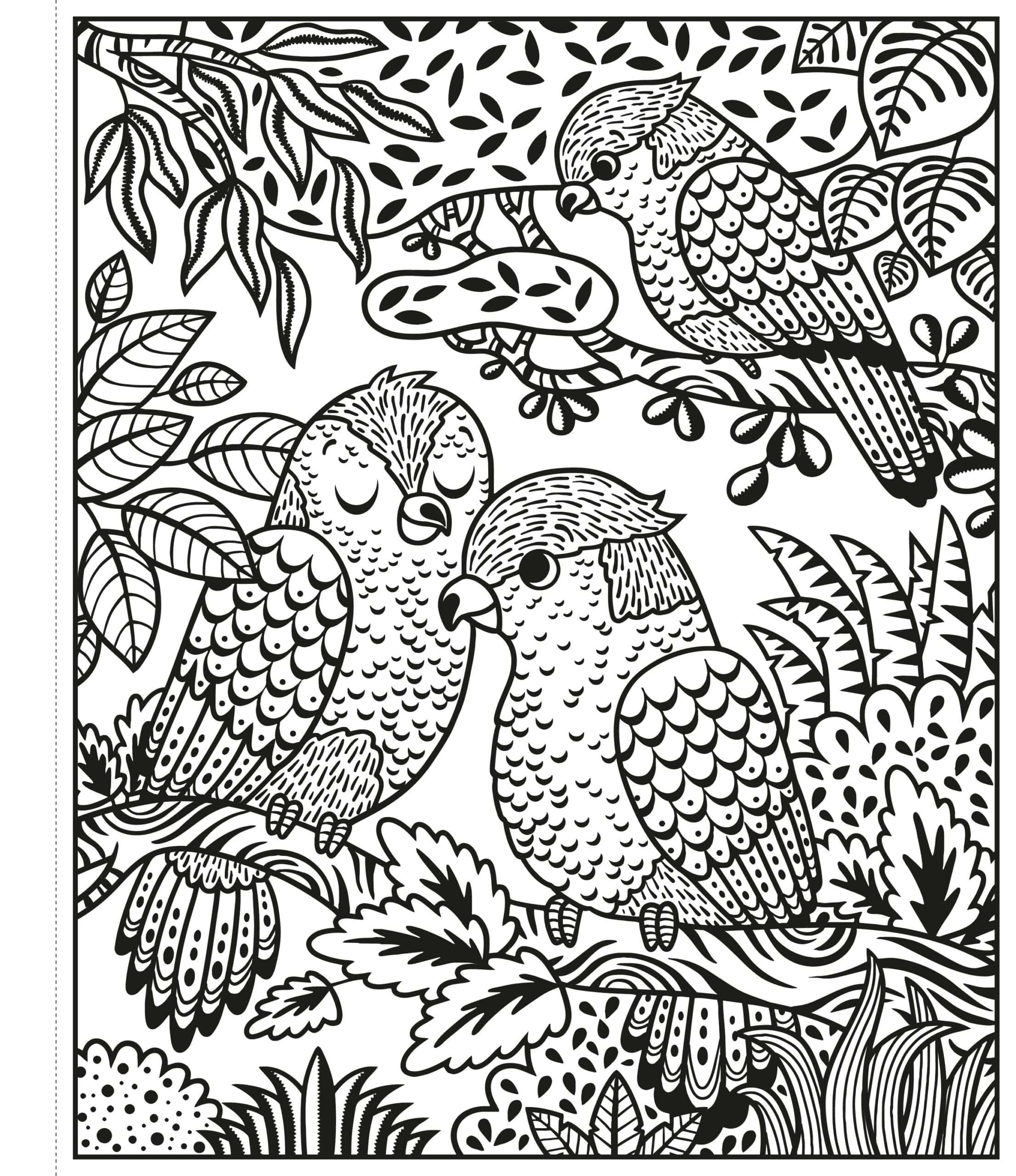 Carte de pictat cu apa - Zoo Magic Painting Book