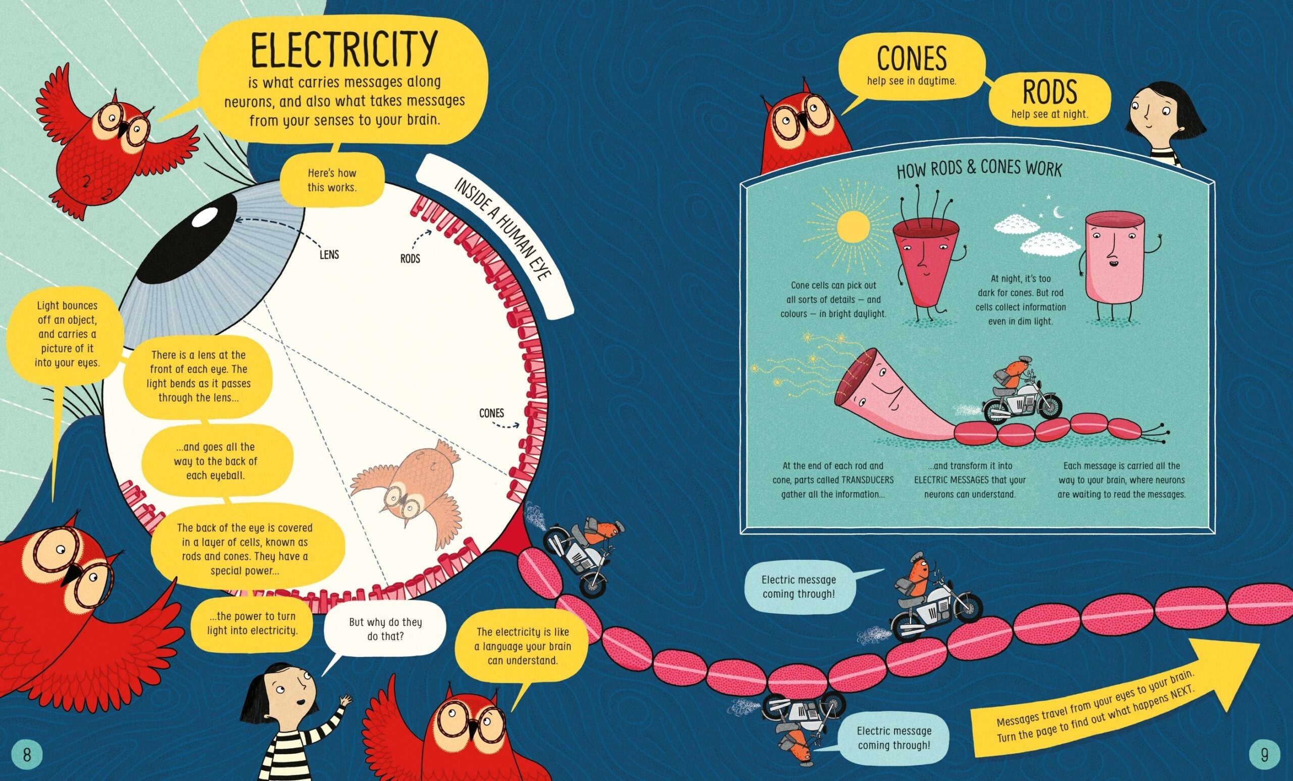 Carte pentru copii - Usborne Book of the Brain and How it Works
