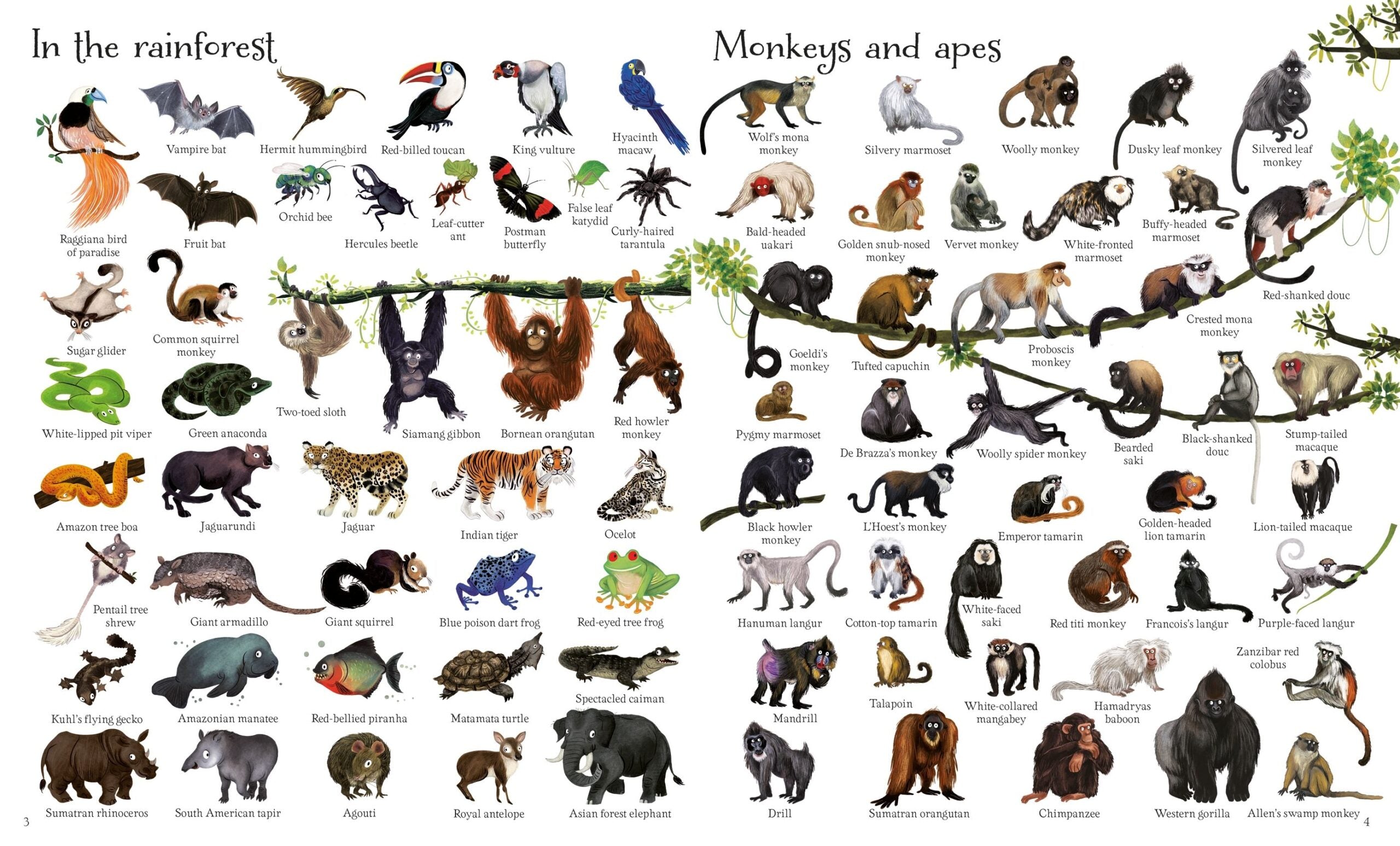 Carte pentru copii - 1000 Animals