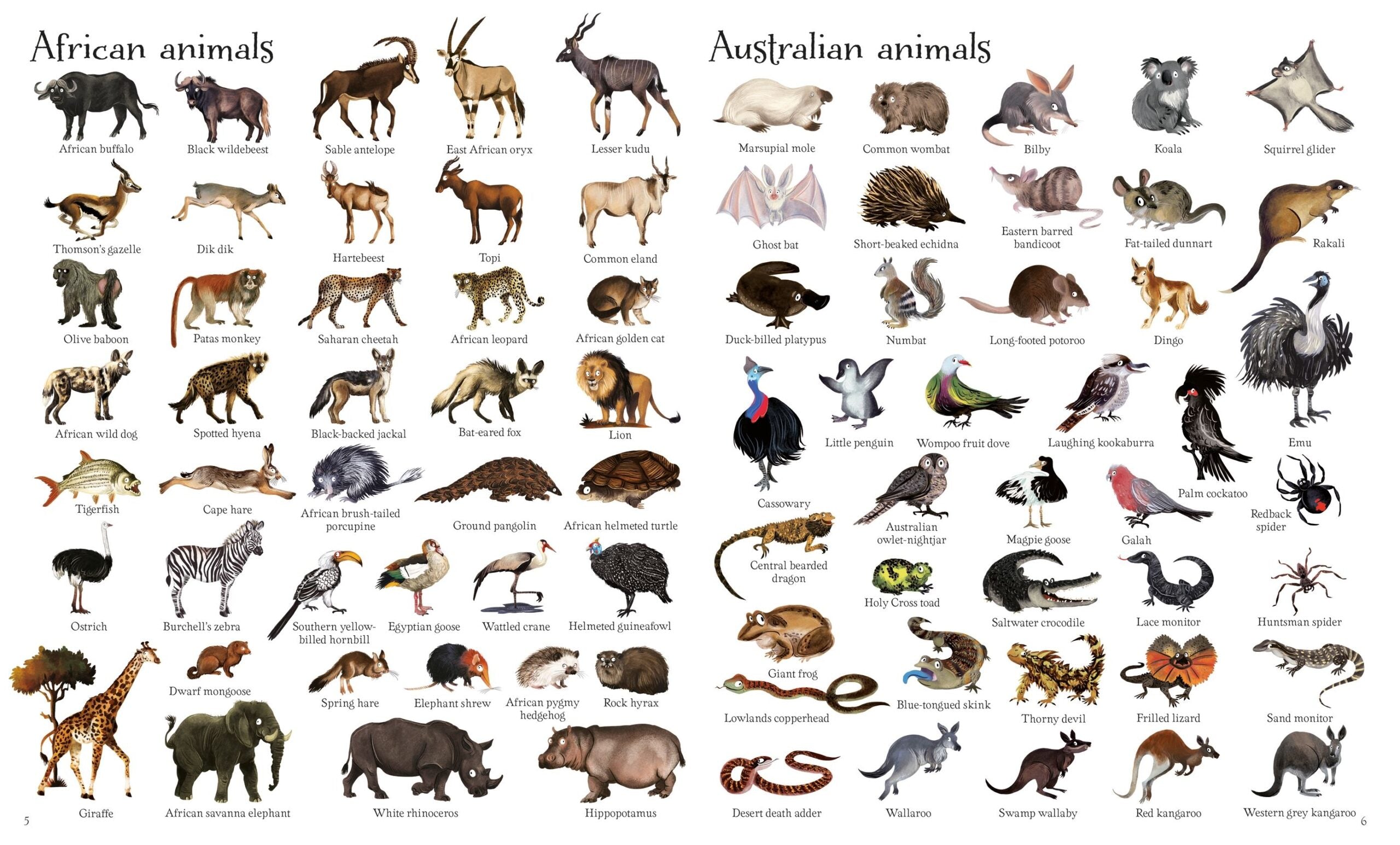 Carte pentru copii - 1000 Animals