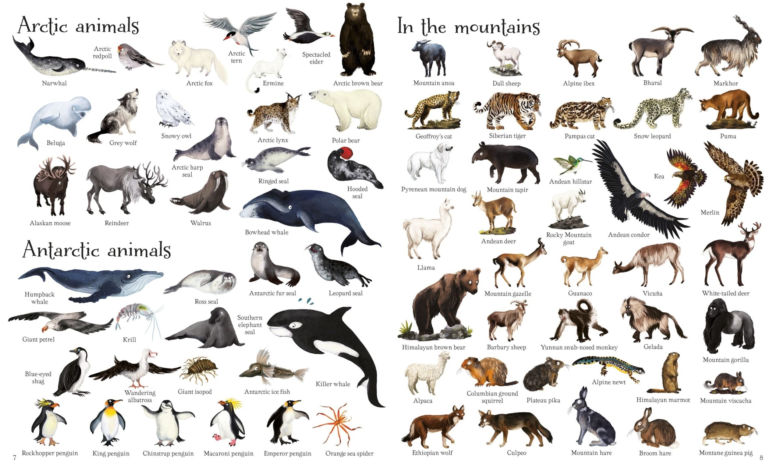 Carte pentru copii - 1000 Animals