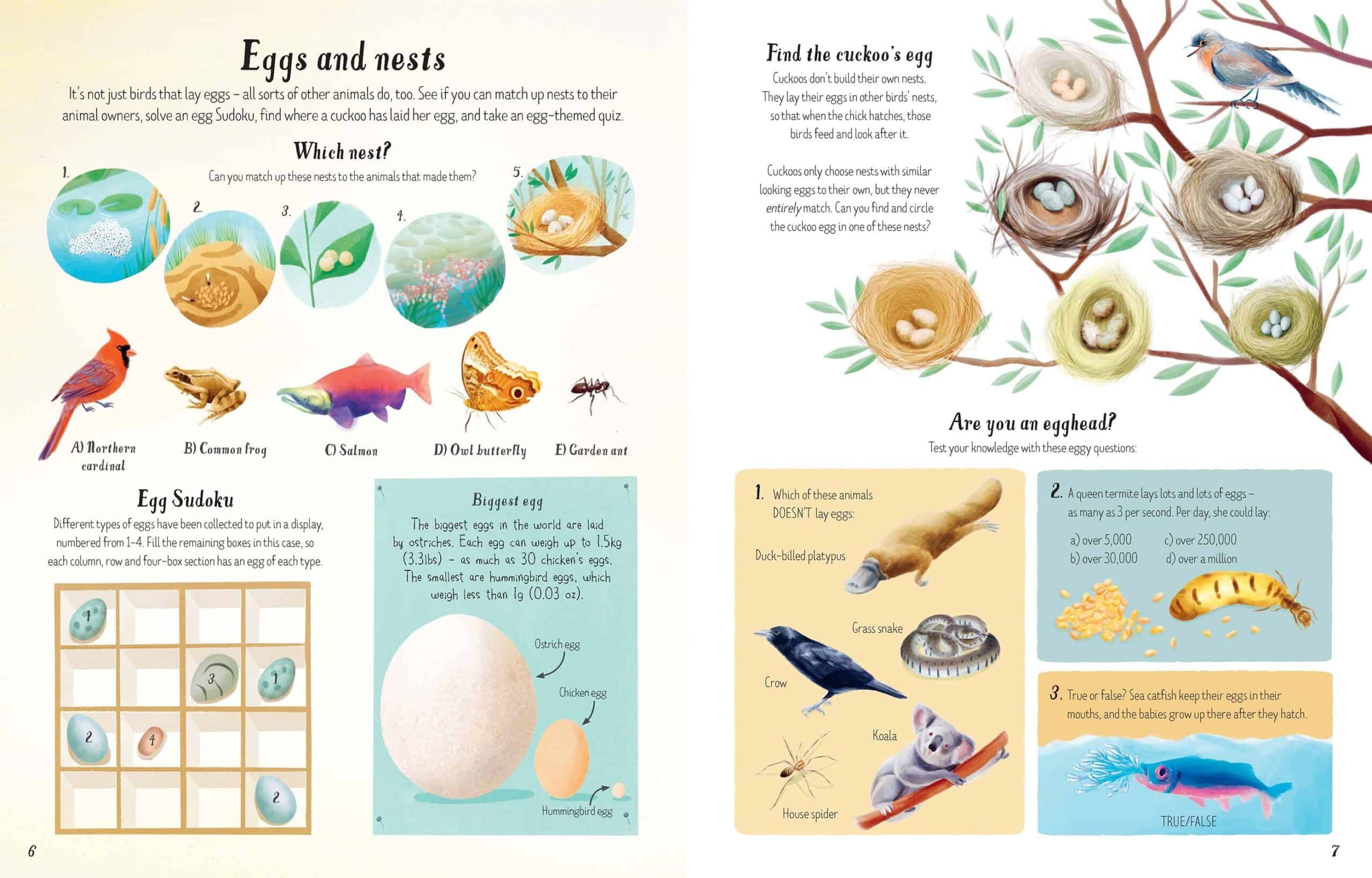 Carte pentru copii - Nature Activity Book