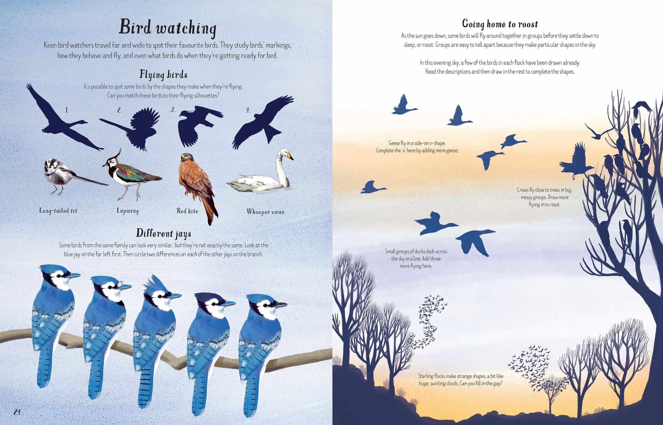Carte pentru copii - Nature Activity Book