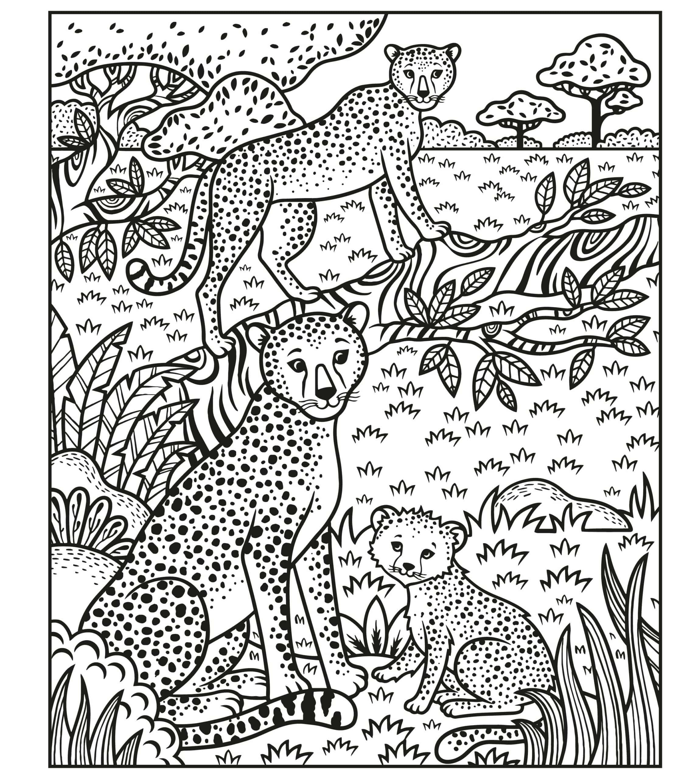 Carte de pictat cu apa –Magic Painting Animals