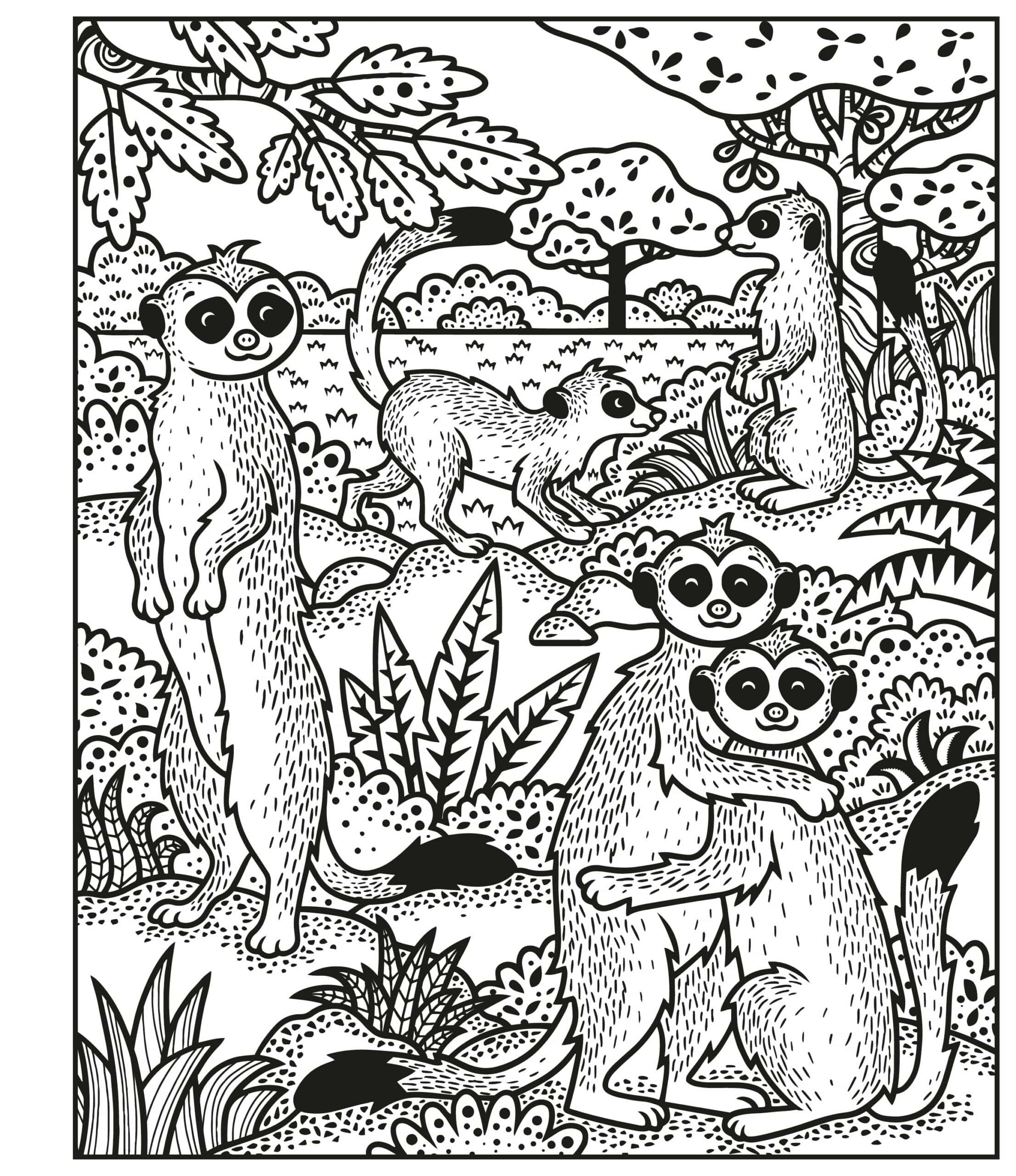 Carte de pictat cu apa –Magic Painting Animals