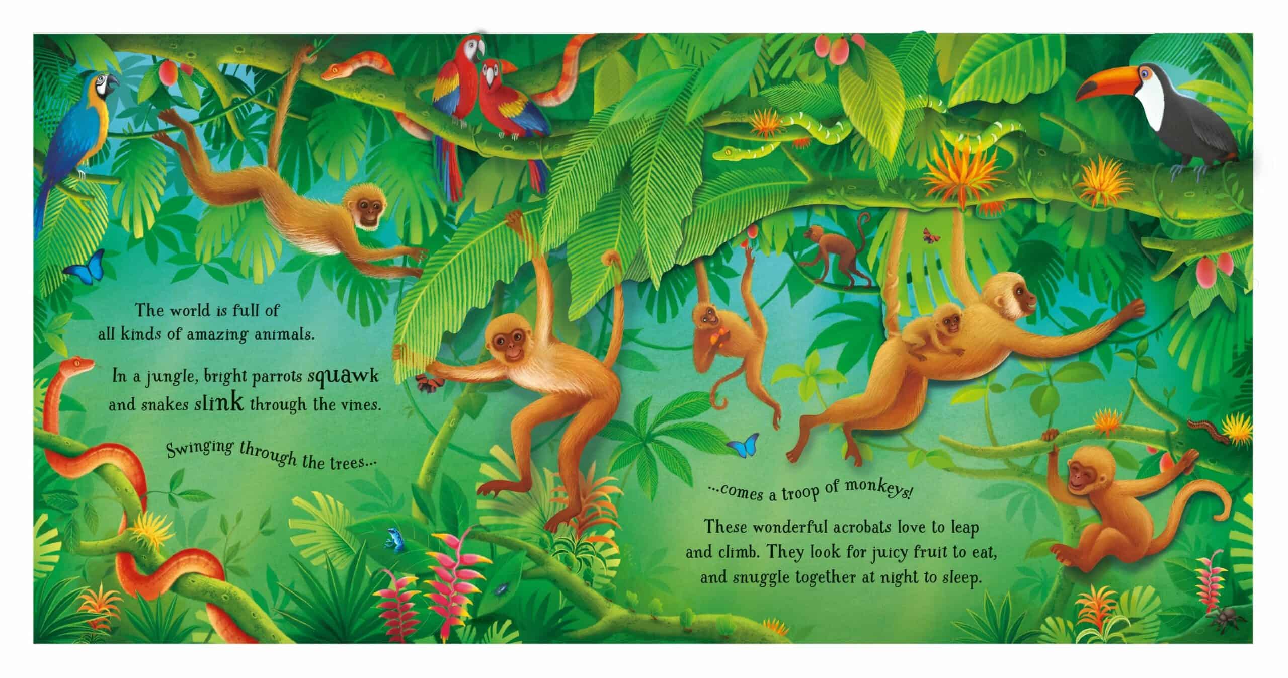 Resigilat - Carte Pop-Up - POP-UP ANIMALS