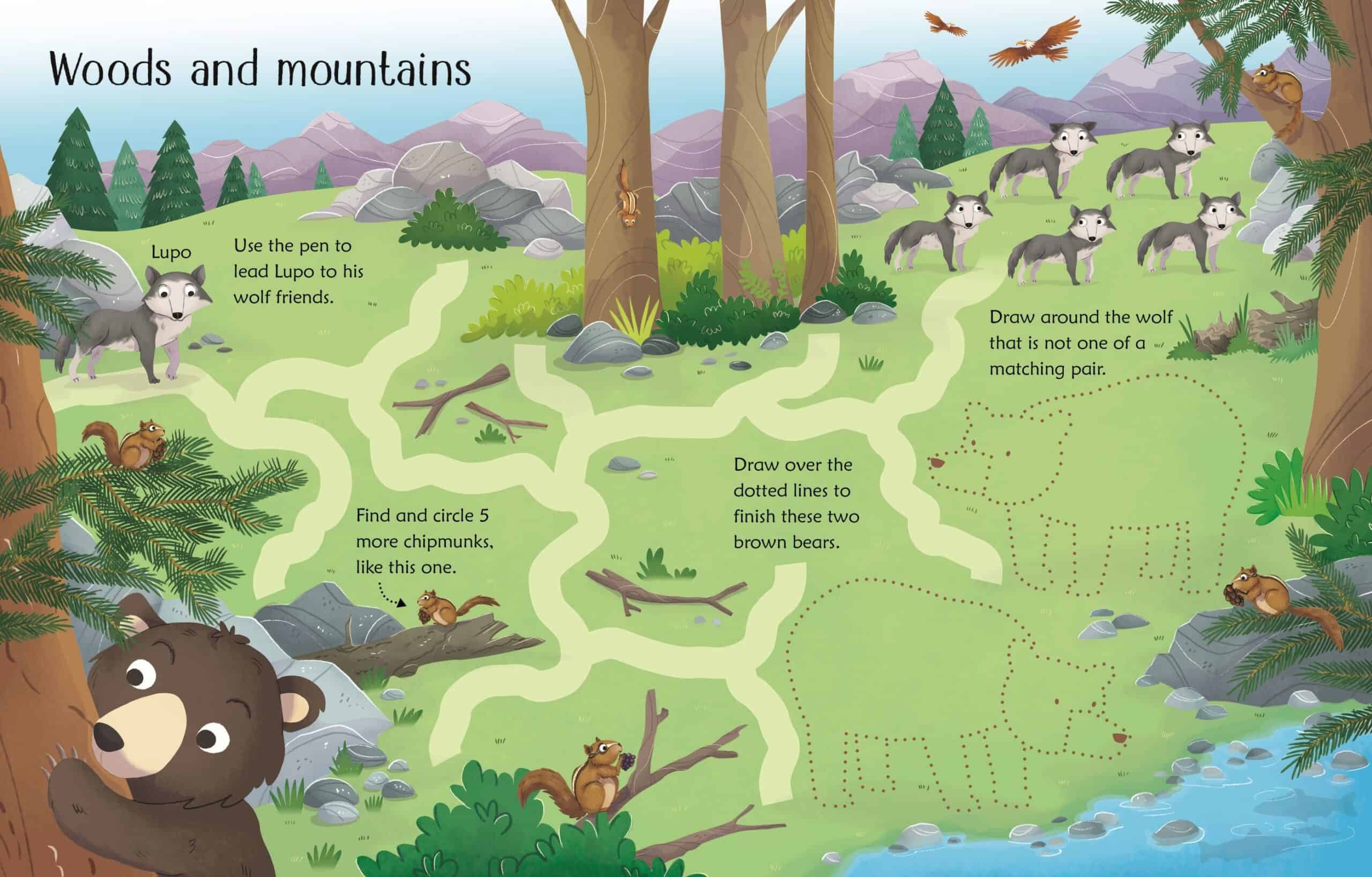 Carte cu activitati scrie si sterge - Wipe-Clean Woodland Activities