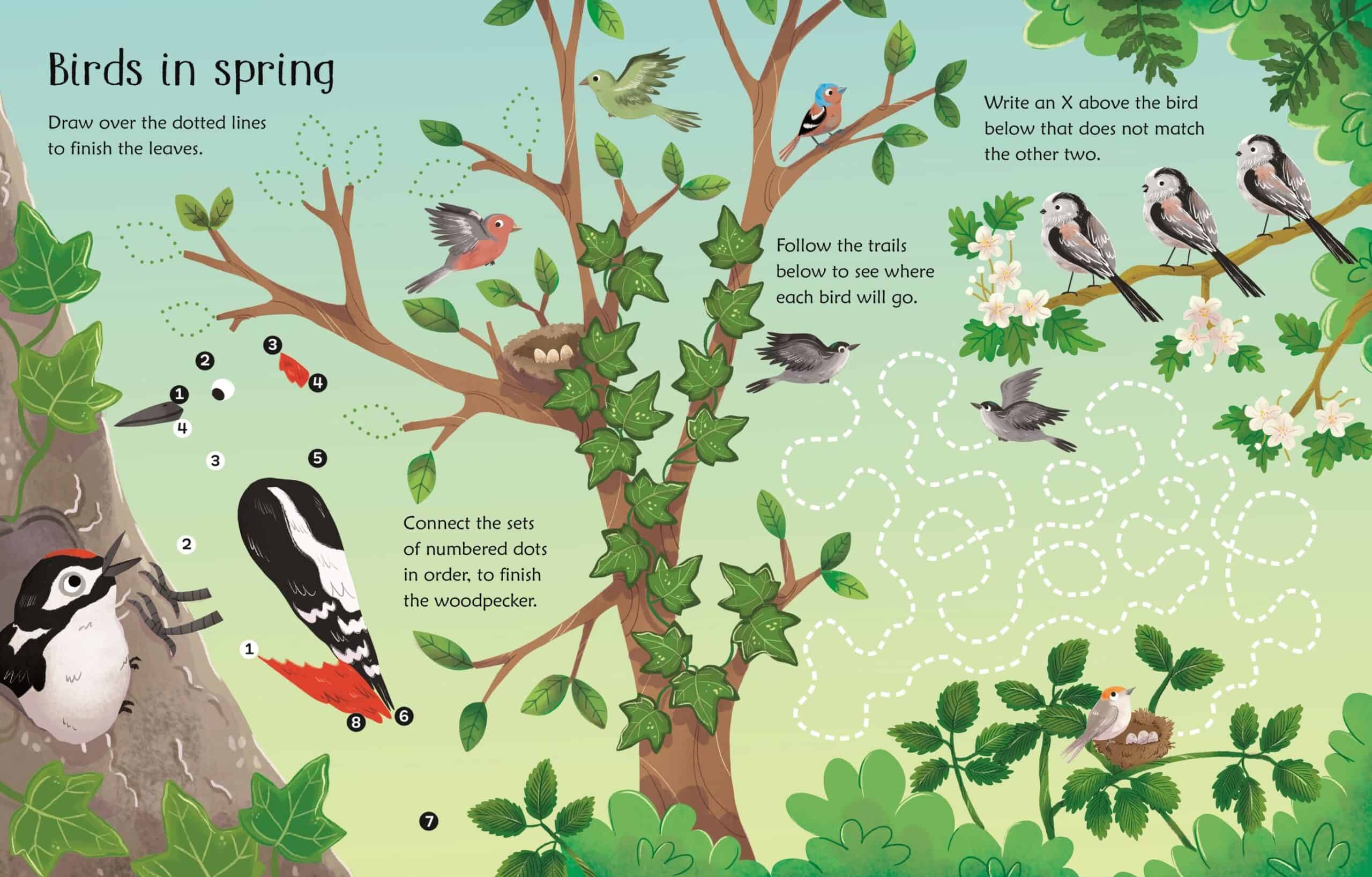 Carte cu activitati scrie si sterge - Wipe-Clean Woodland Activities