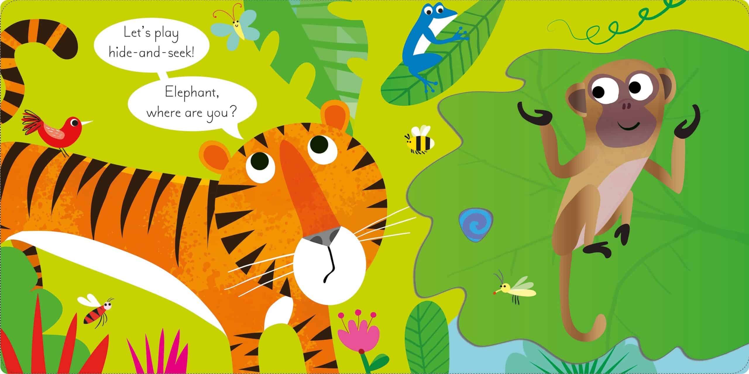 Carte pentru copii - Play Hide & Seek with Tiger