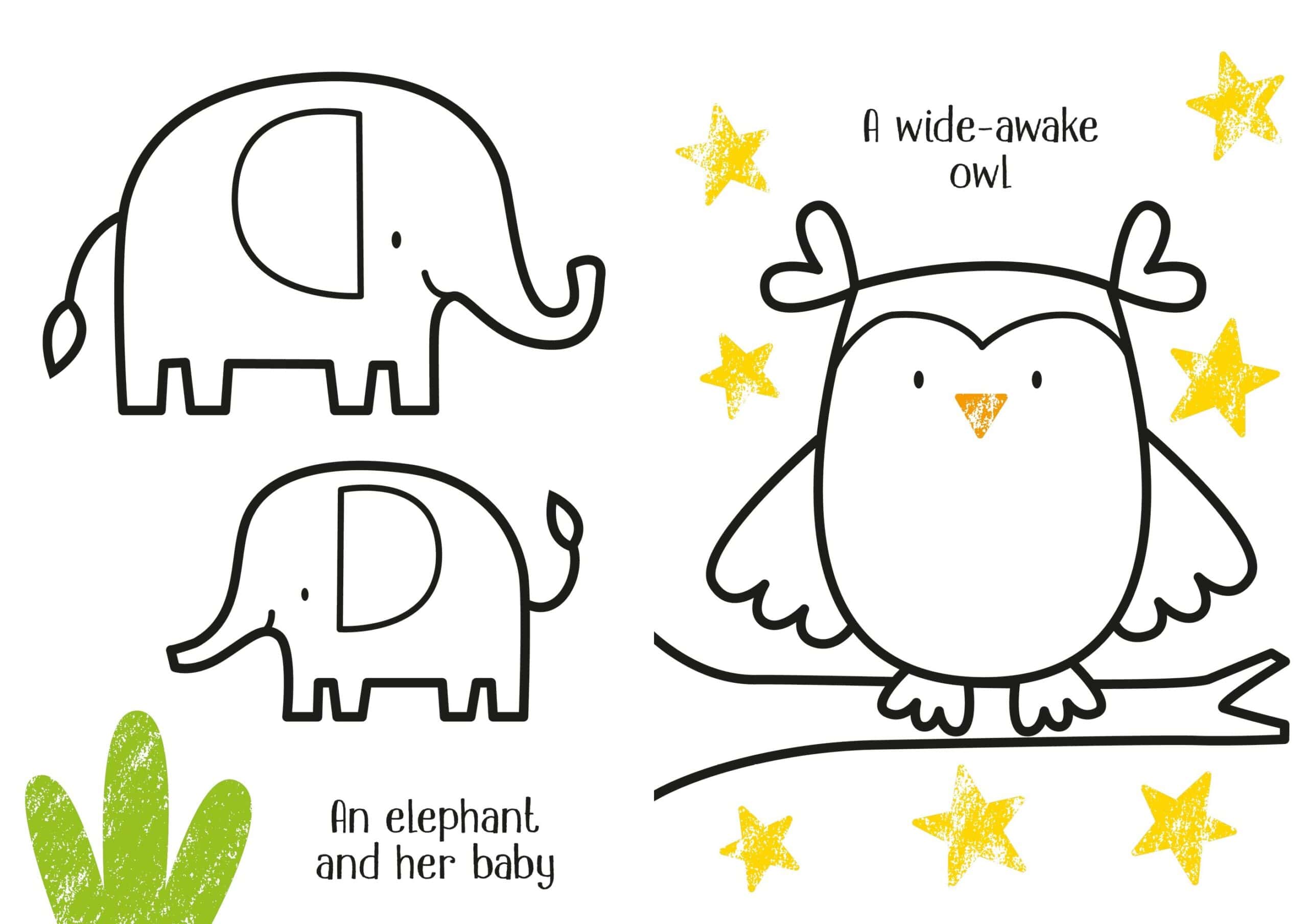 Carte pentru copii - First Colouring Animals