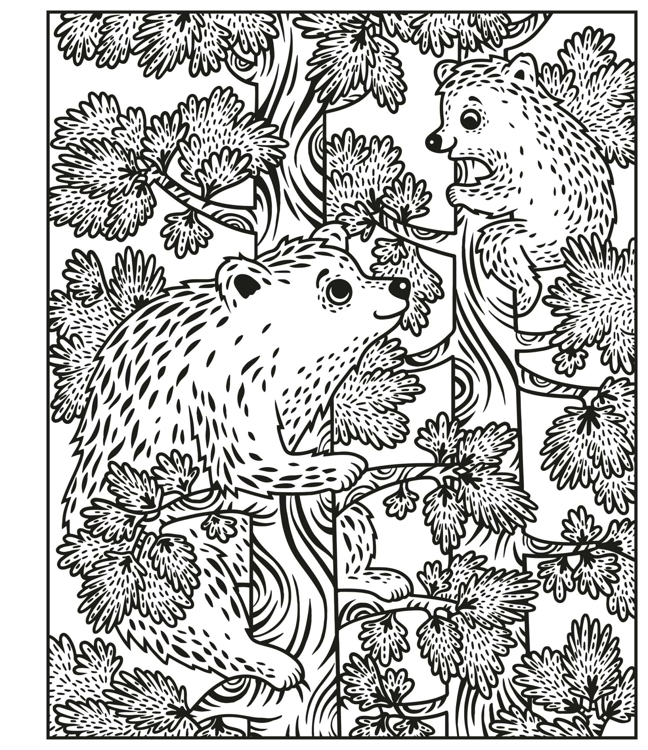 Carte de pictat cu apa- Woodland Magic Painting