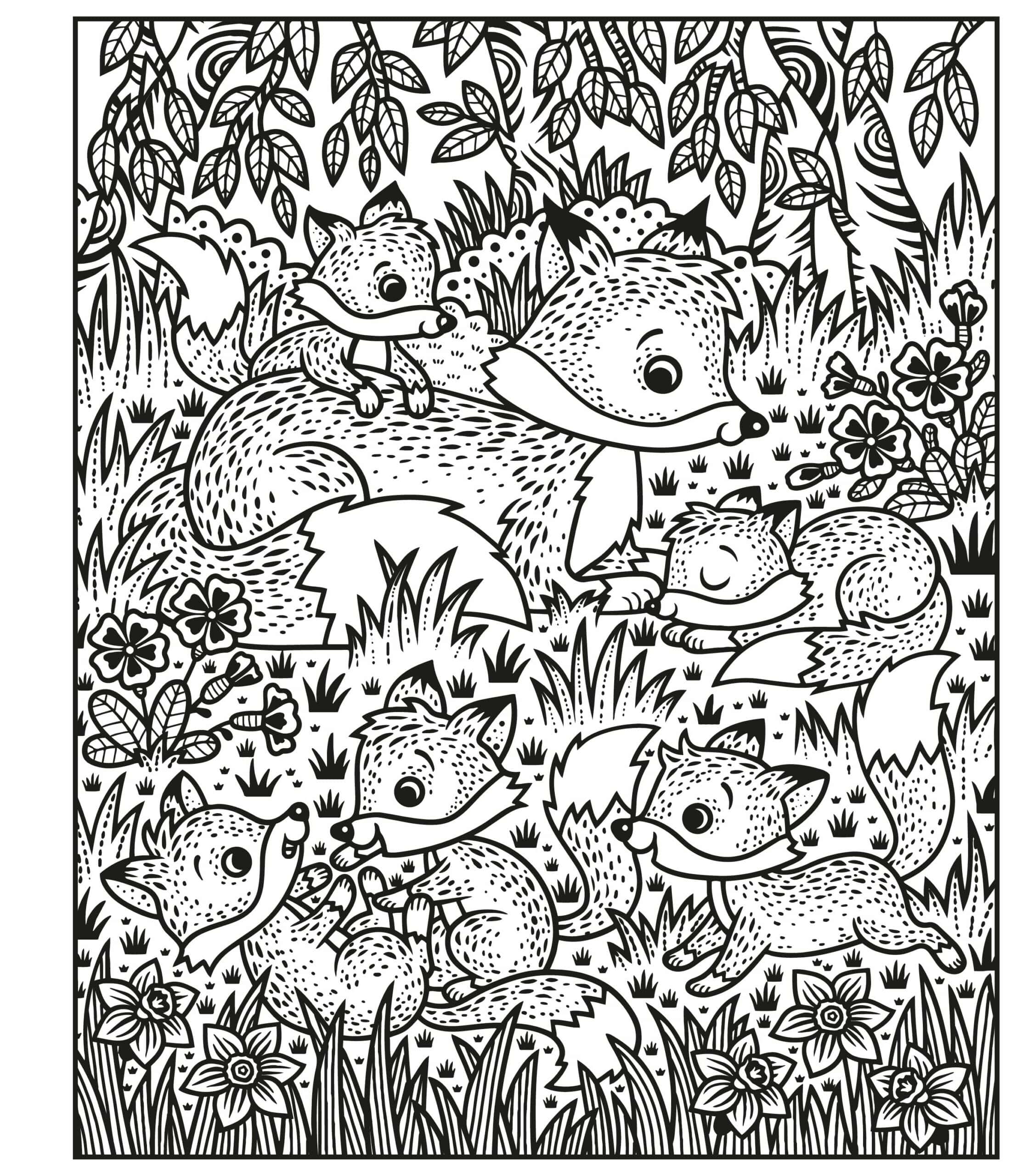 Carte de pictat cu apa- Woodland Magic Painting