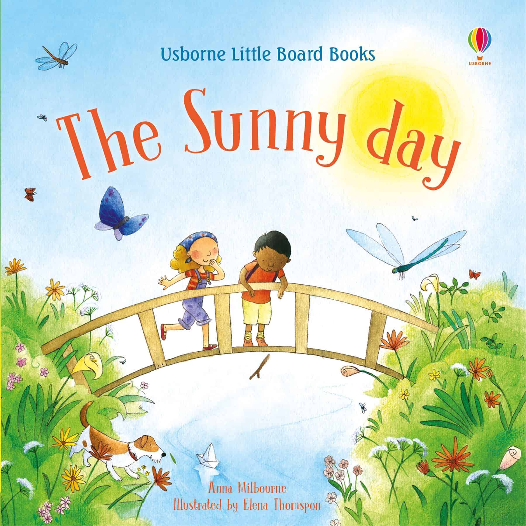 Carte pentru copii - Little Board Books: The Sunny Day 1