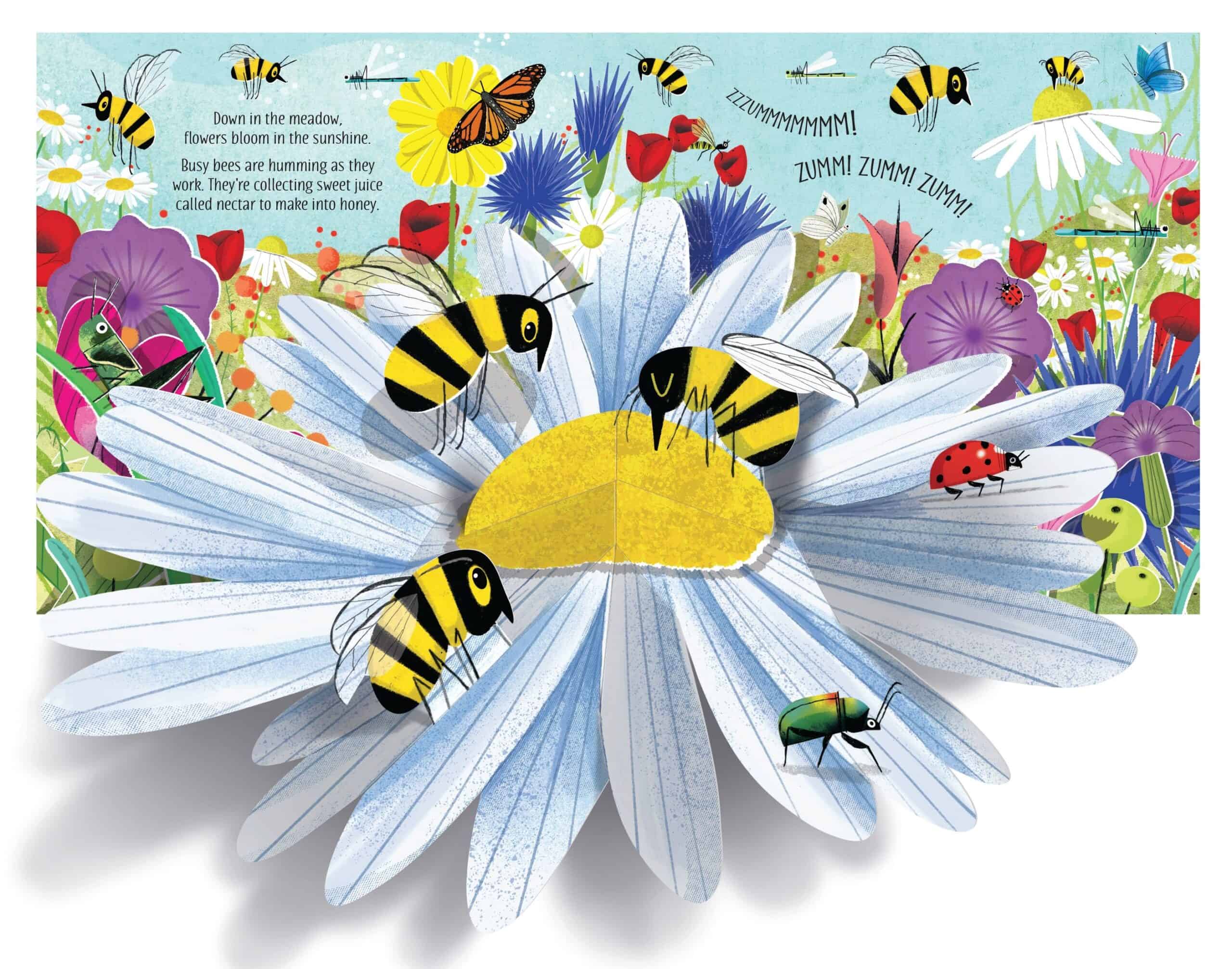 Carte Pop-Up Nature