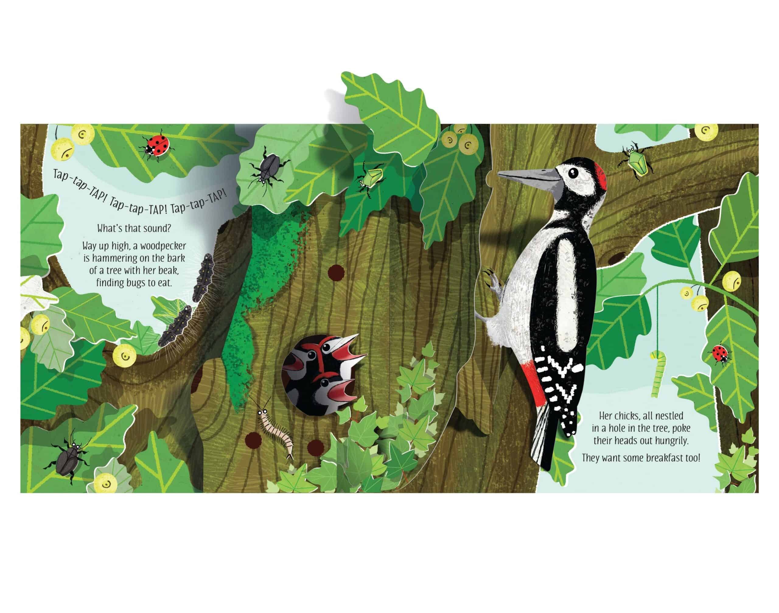 Carte Pop-Up Nature