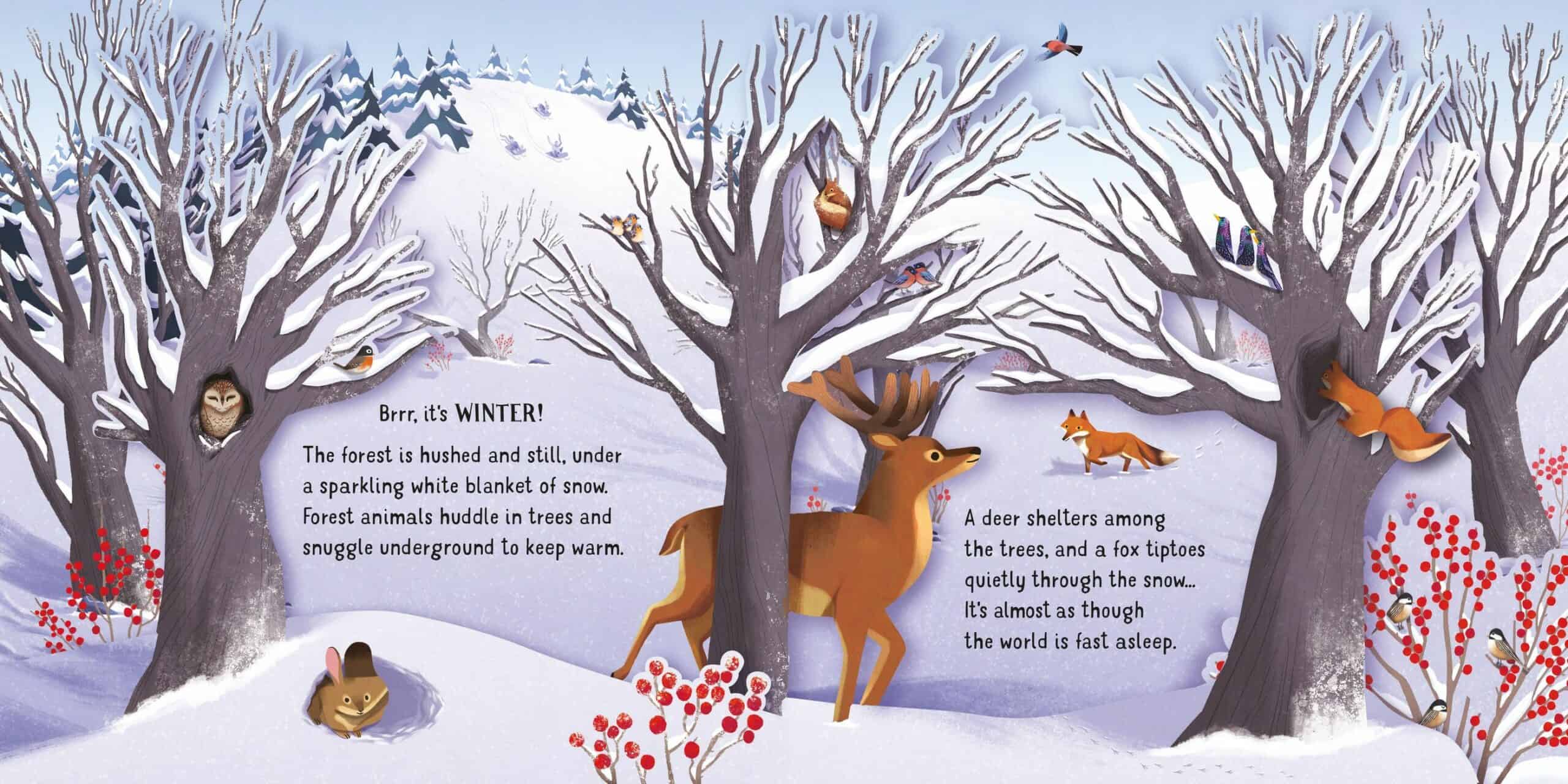 Carte senzoriala – Pop-Up: Seasons