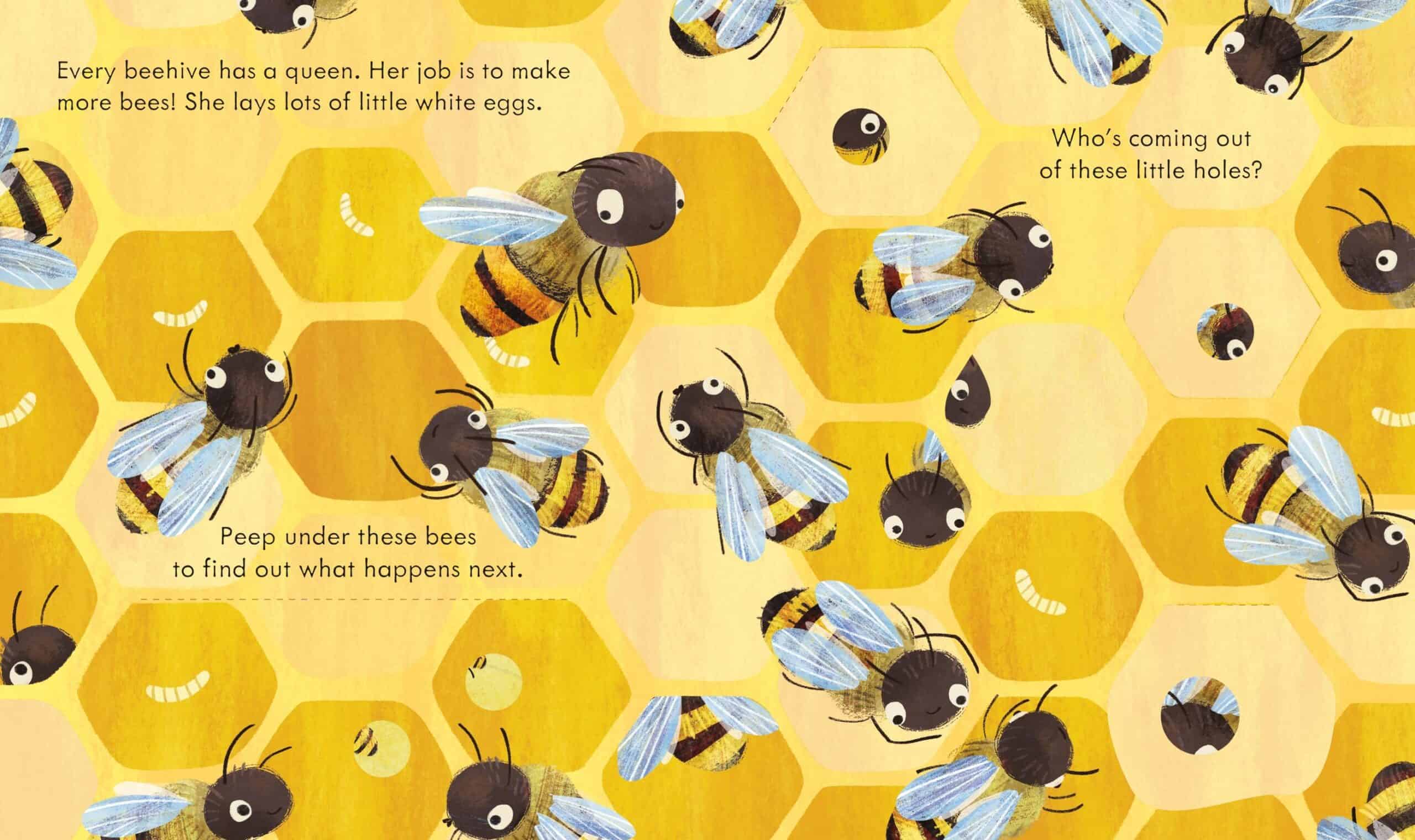 Carte pentru copii - Peep Inside a beehive