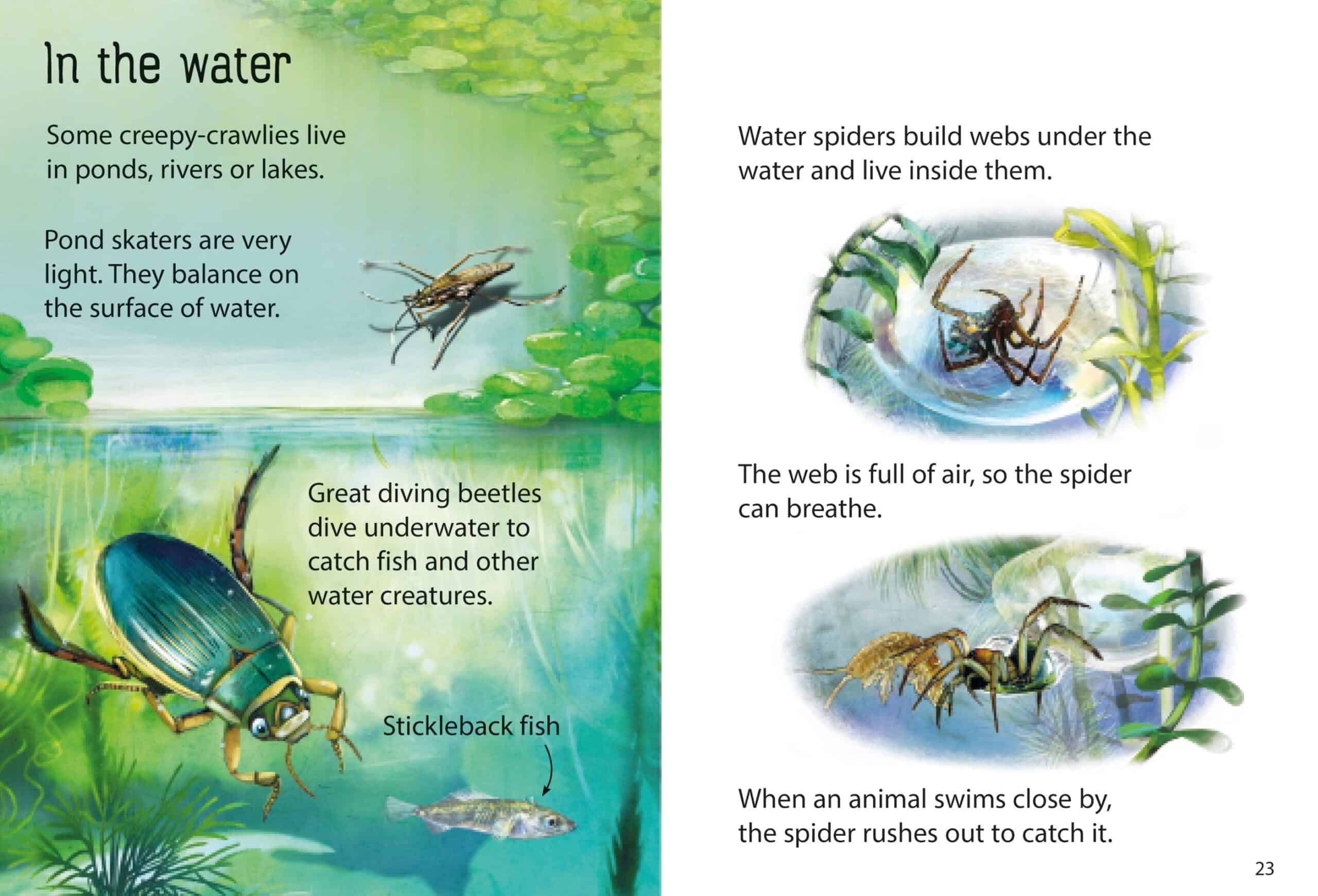 Carte pentru copii - Creepy crawlies