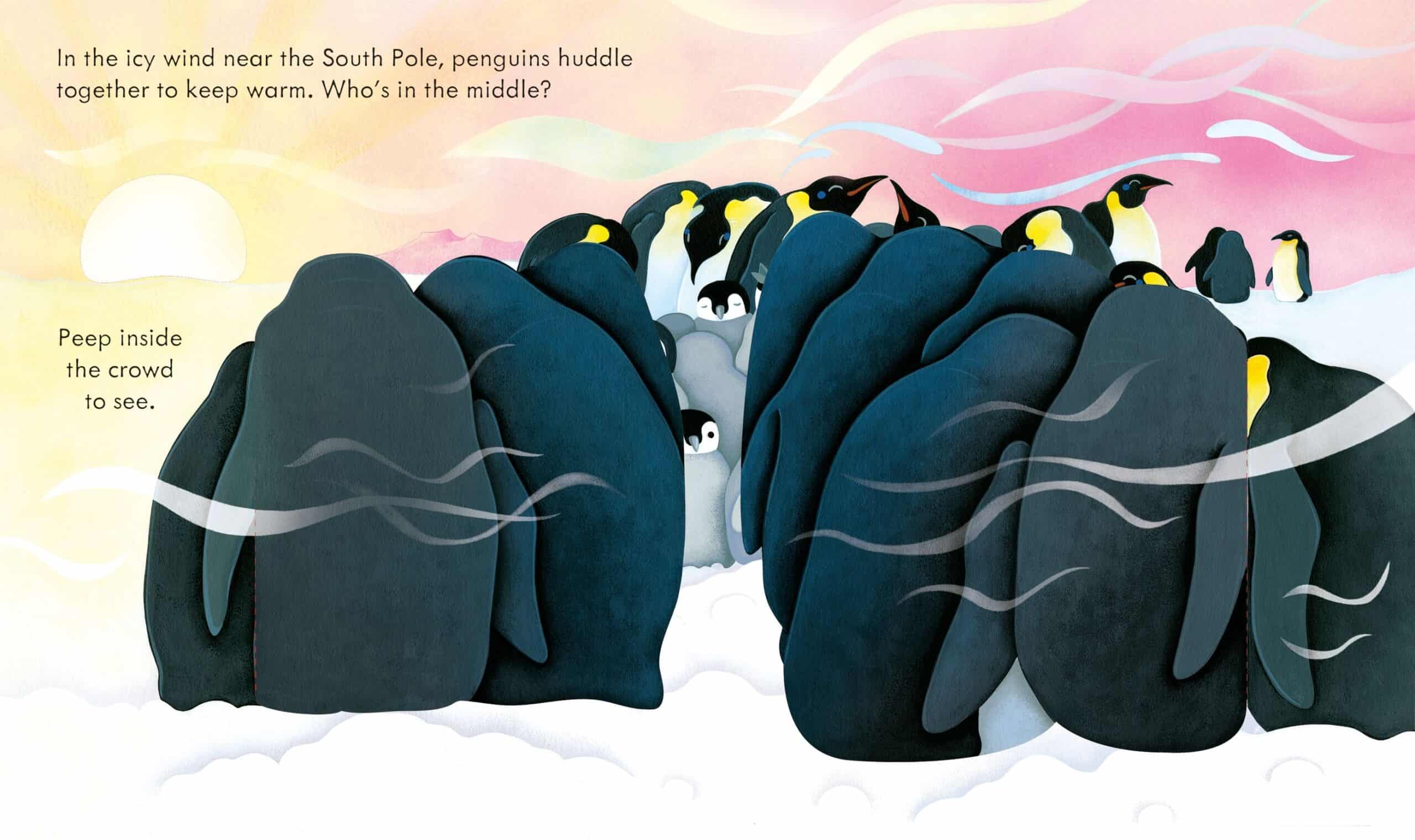 Carte pentru copii - Peep Inside snowy places