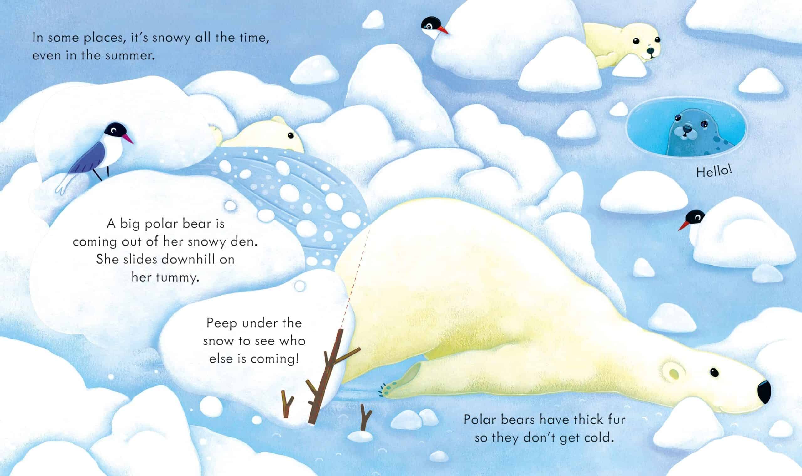 Carte pentru copii - Peep Inside snowy places