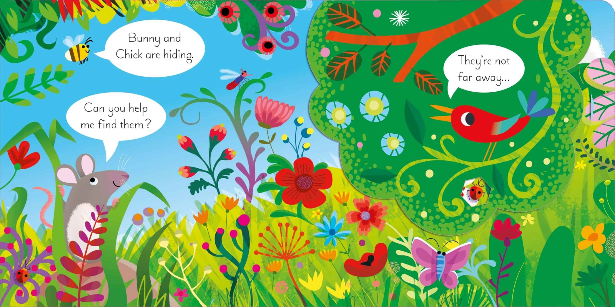 Carte pentru copii - Play Hide & Seek with Bunny