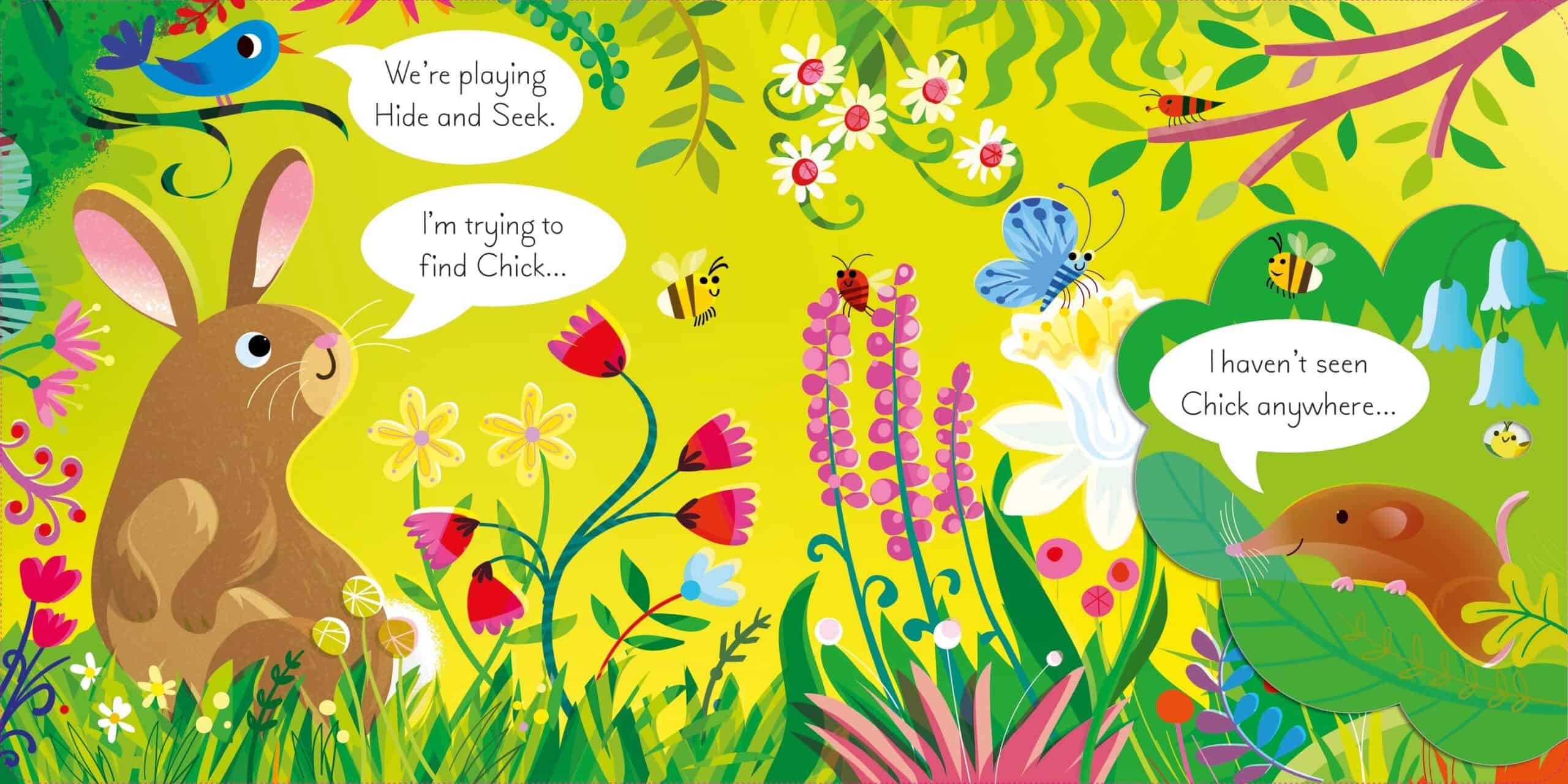 Carte pentru copii - Play Hide & Seek with Bunny