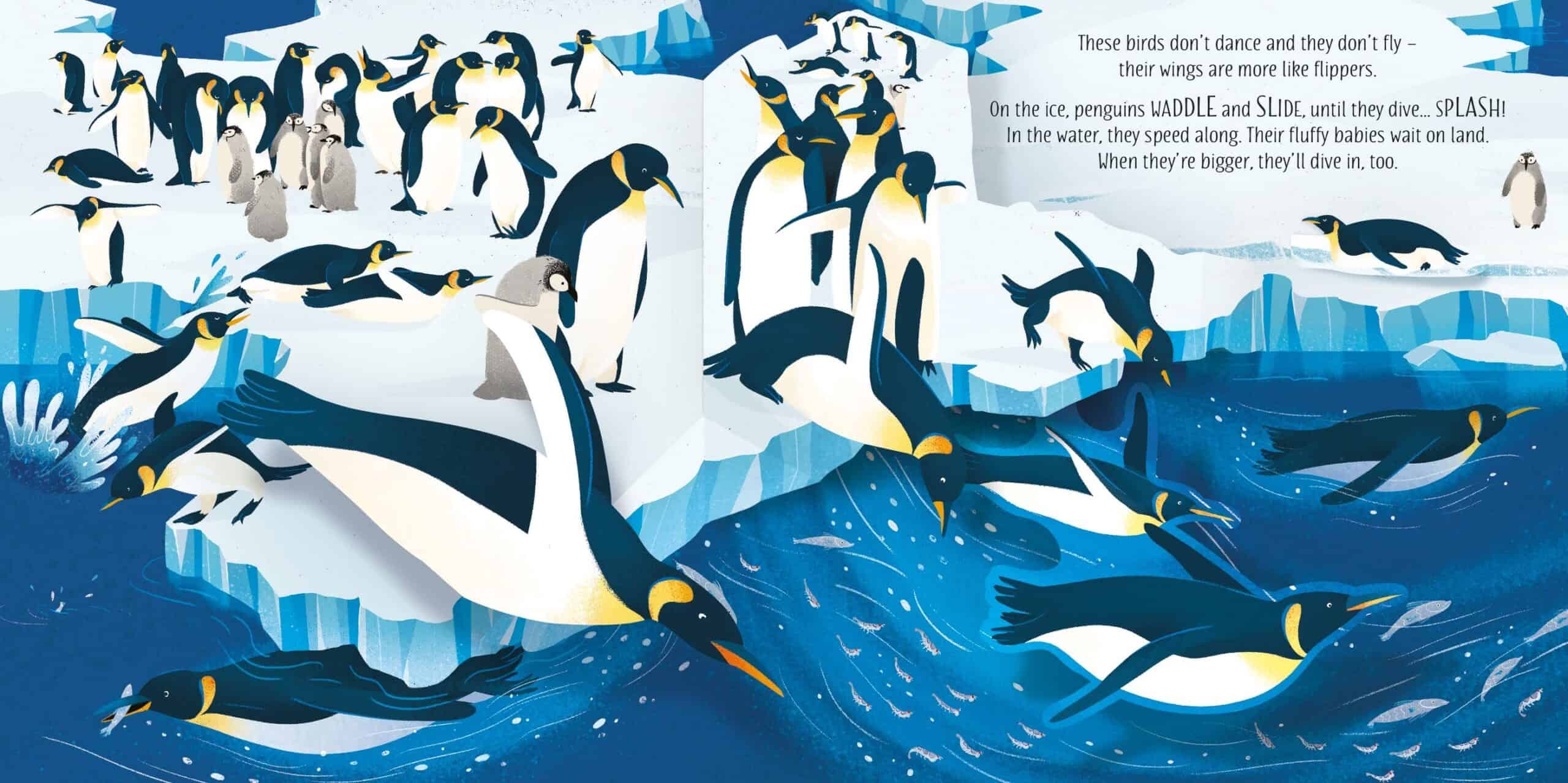 Carte Pop-Up Birds