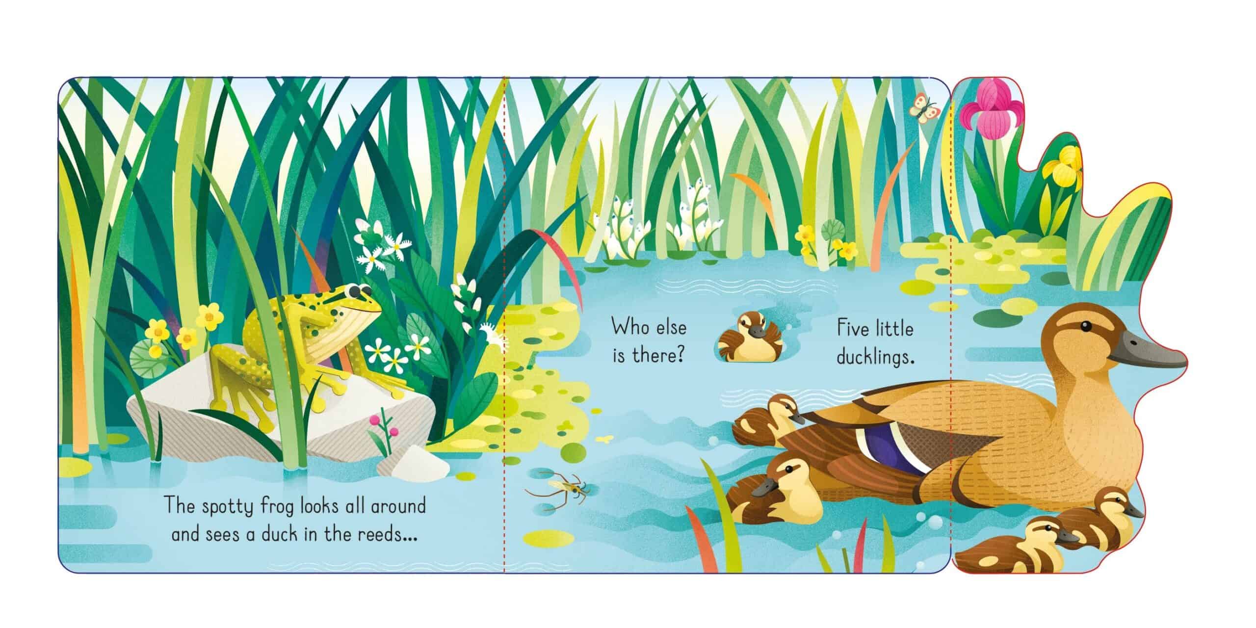 Carte pentru copii - Little lift and look Spotty Frog