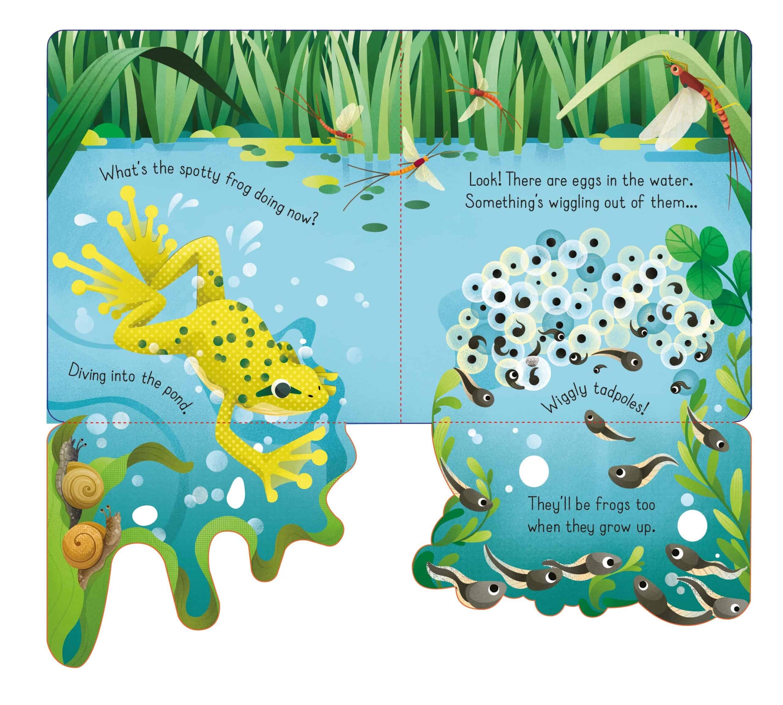 Carte pentru copii - Little lift and look Spotty Frog
