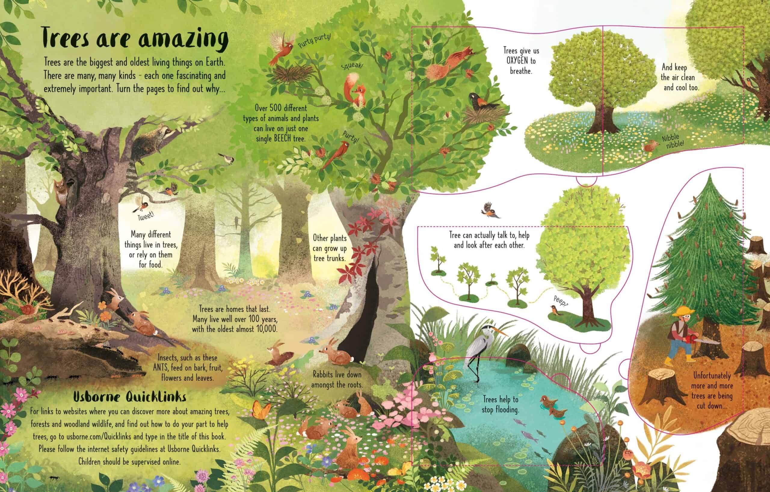 Carte pentru copii - Lift-the-Flap Trees