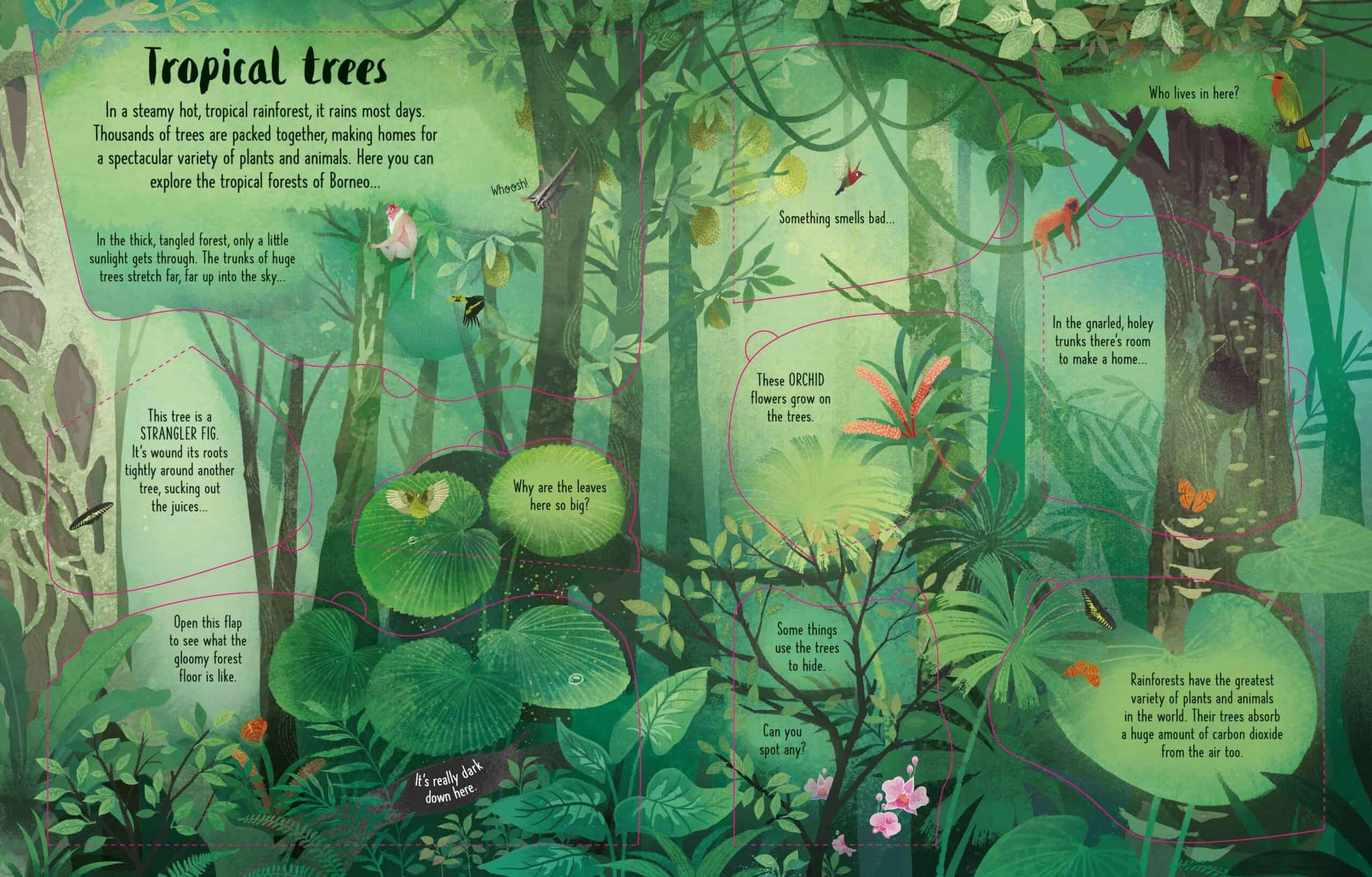Carte pentru copii - Lift-the-Flap Trees