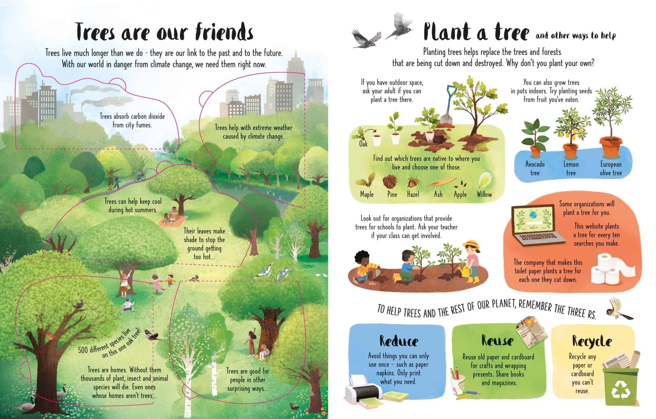 Carte pentru copii - Lift-the-Flap Trees