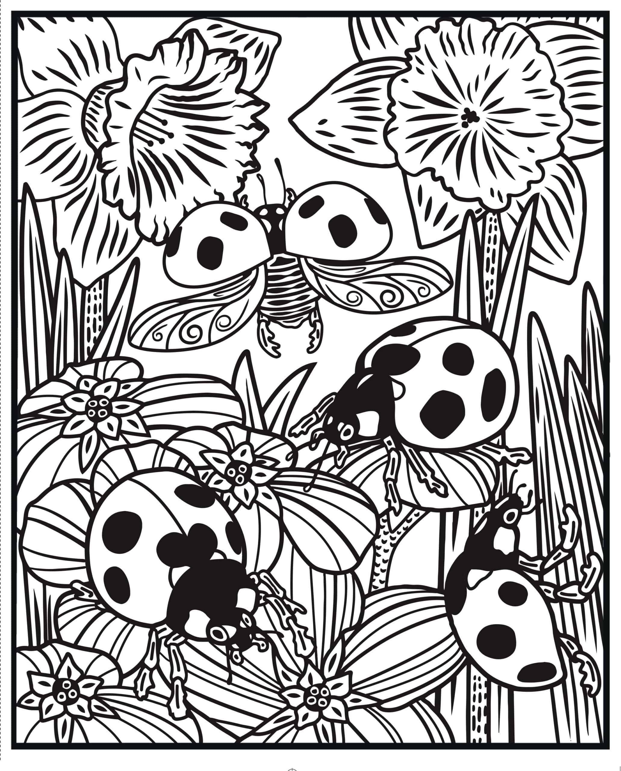 Carte pentru copii - Bugs Magic Painting Book