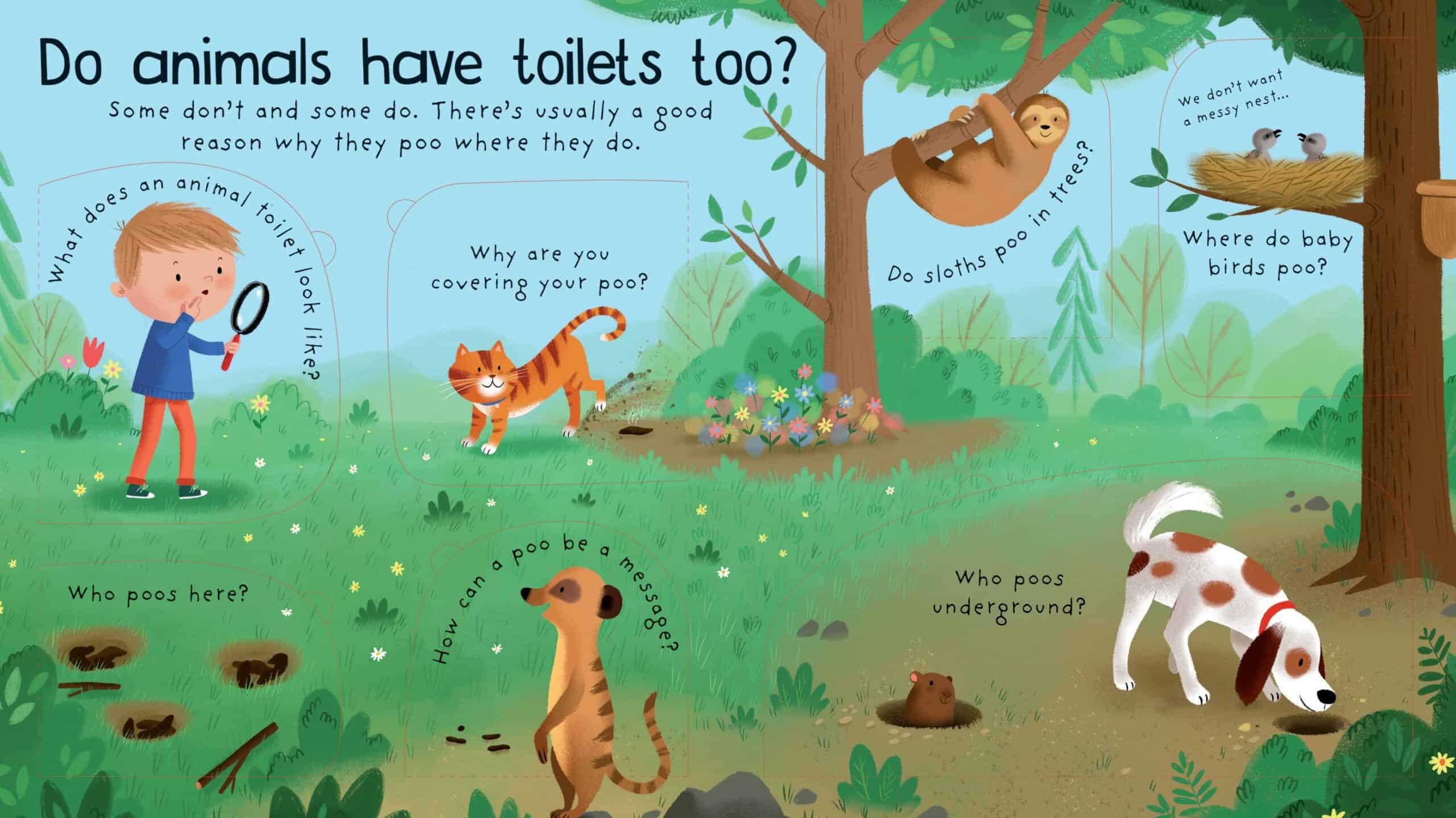 Carte pentru copii - Lift-the-Flap First Questions and Answers Where does poo go?