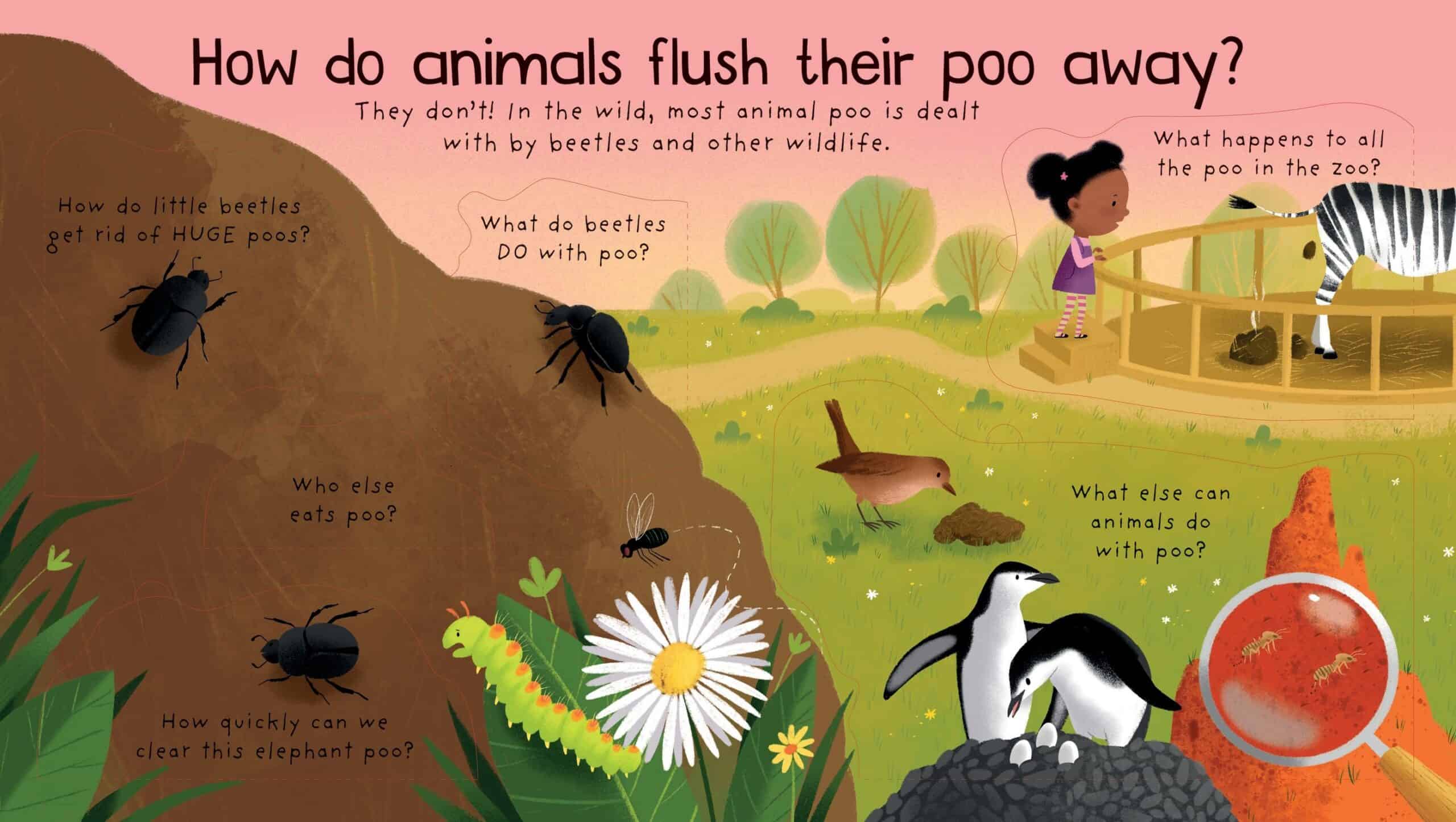 Carte pentru copii - Lift-the-Flap First Questions and Answers Where does poo go?
