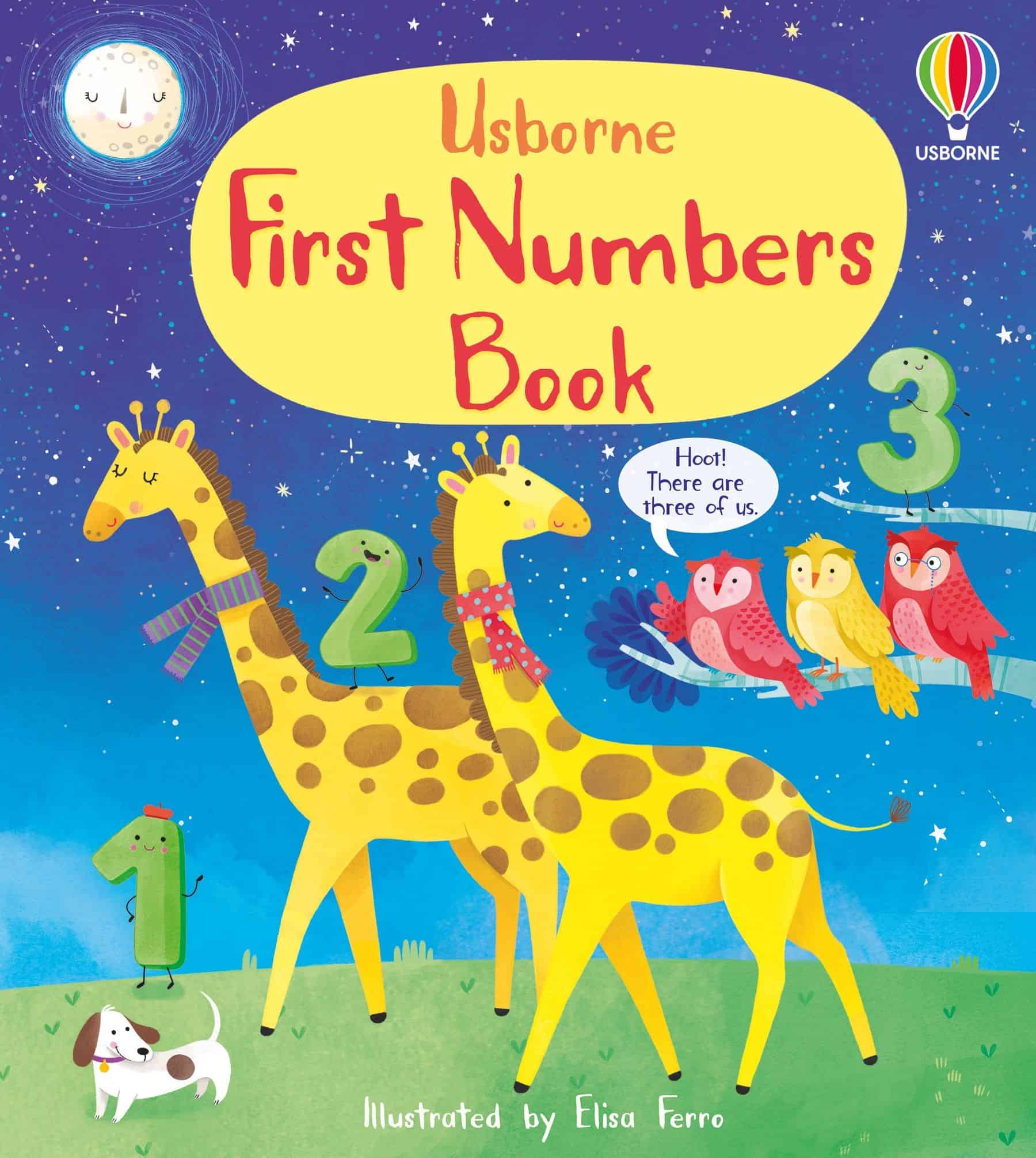 Carte pentru copii - First Numbers Book