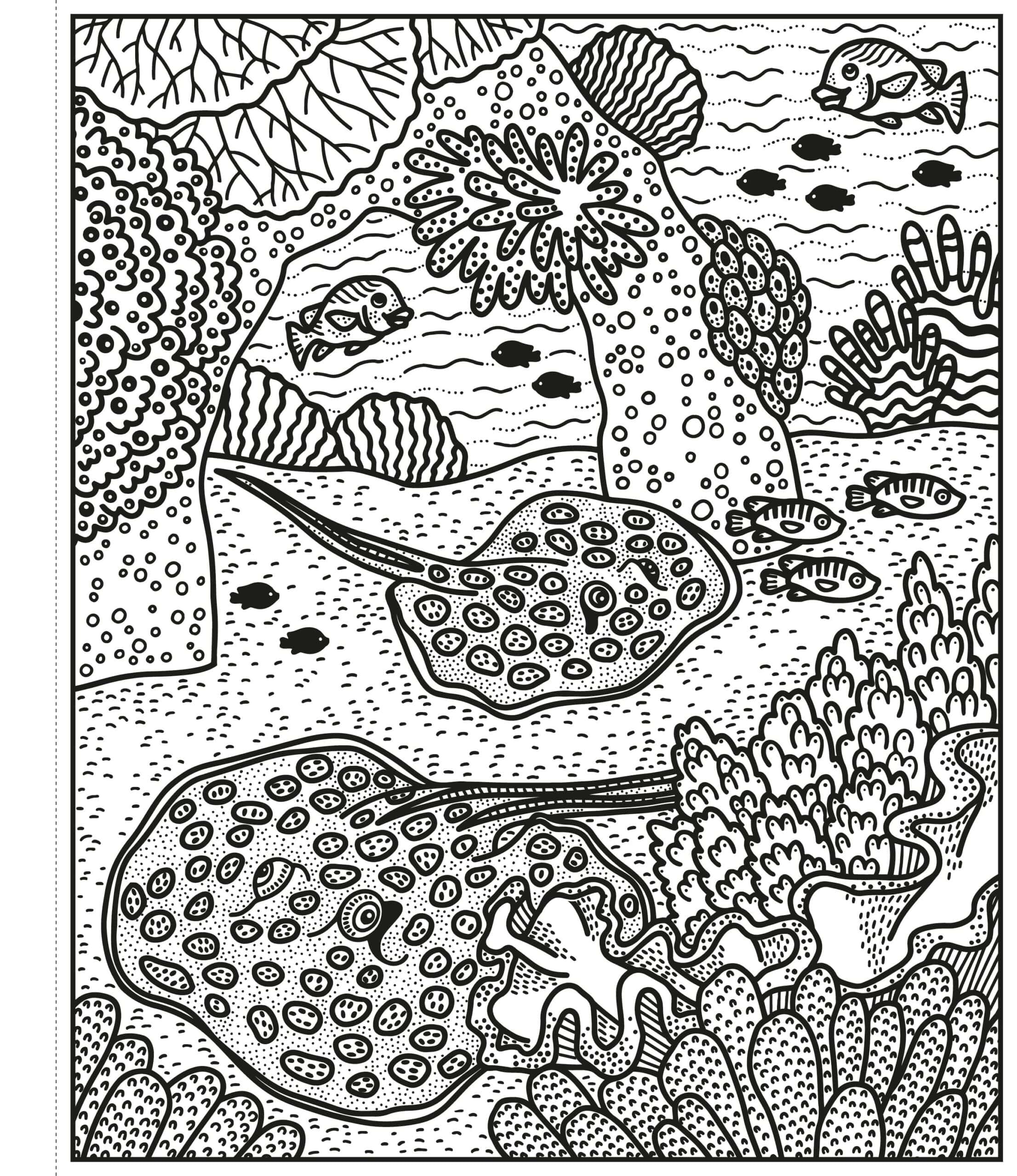 Carte de pictat cu apa - Coral Reef Magic Painting Book