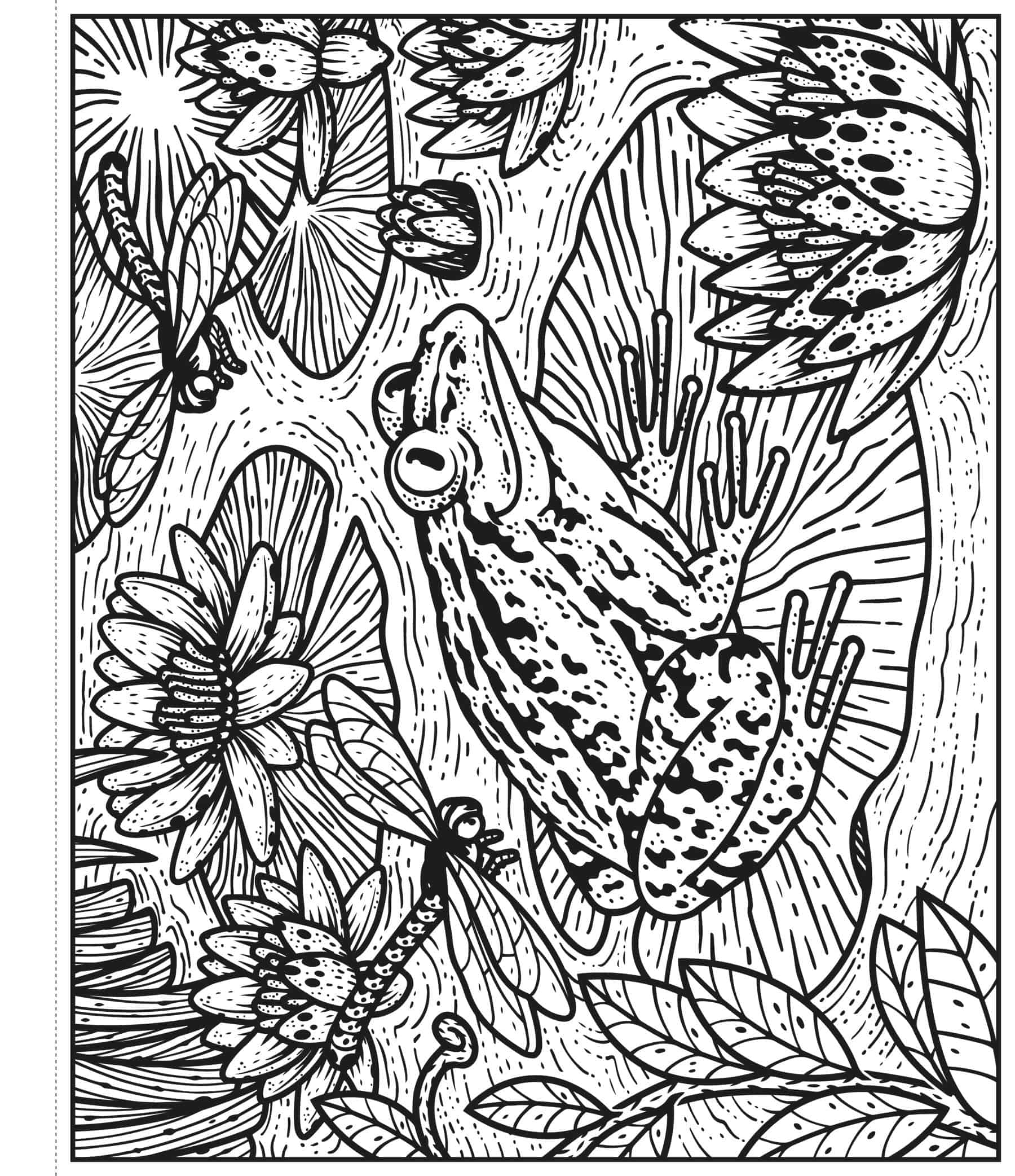 Carte de pictat cu apa - Garden Magic Painting Book