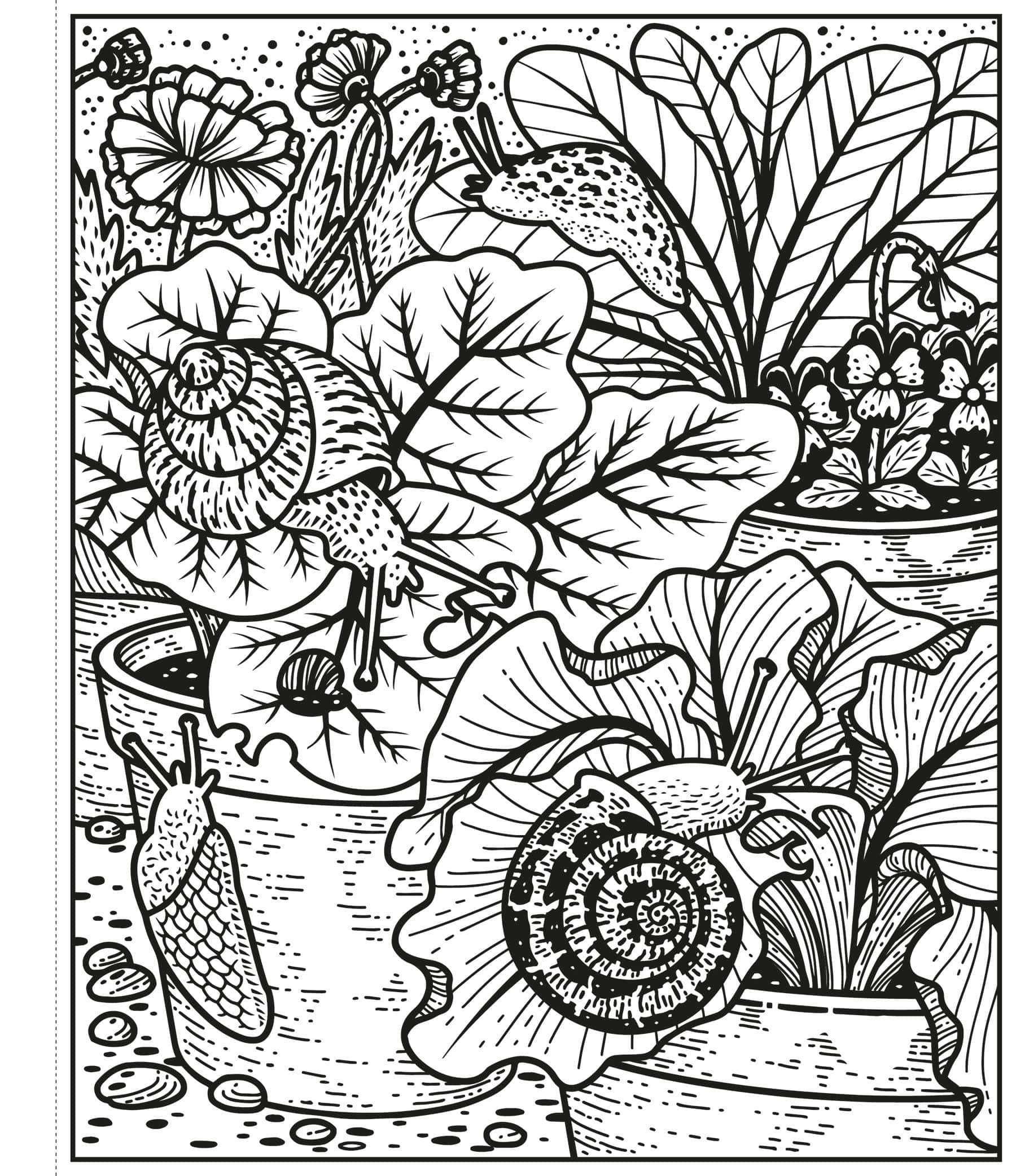 Carte de pictat cu apa - Garden Magic Painting Book