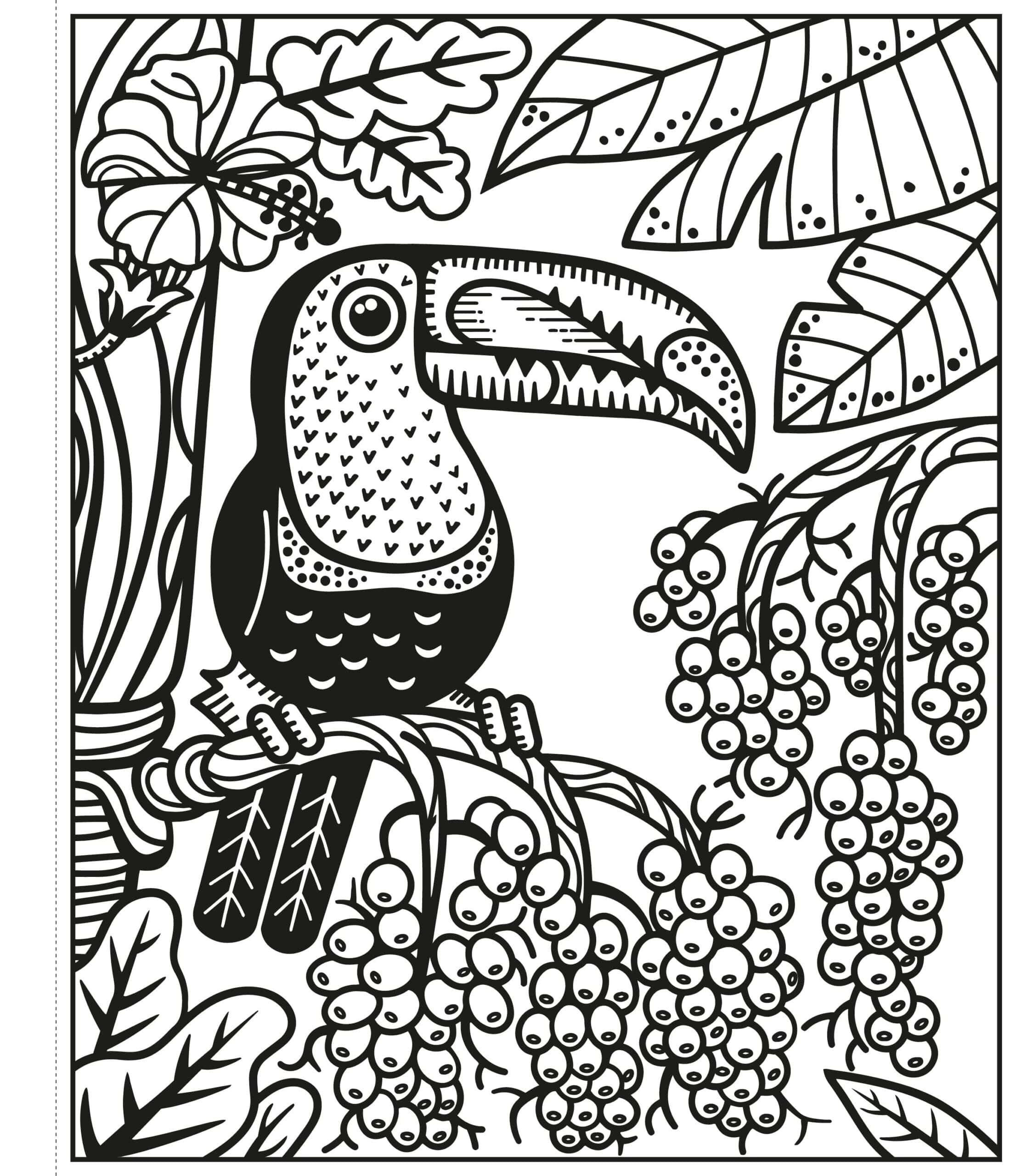 Carte de pictat cu apa - Pasari - Birds Magic Painting Book