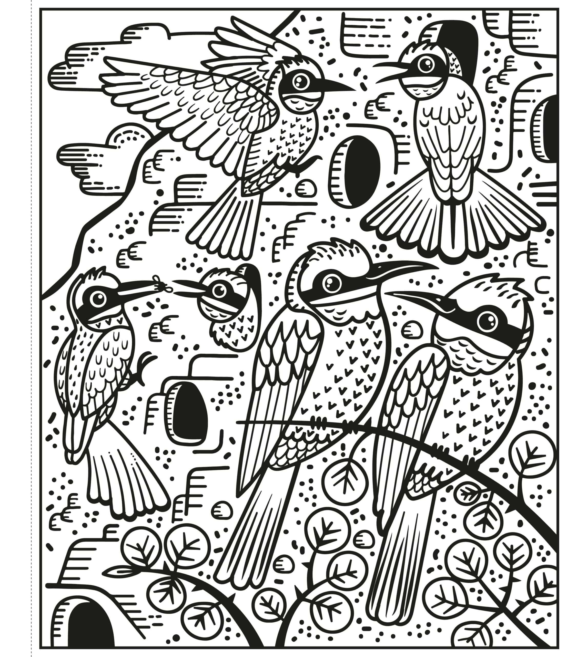 Carte de pictat cu apa - Pasari - Birds Magic Painting Book