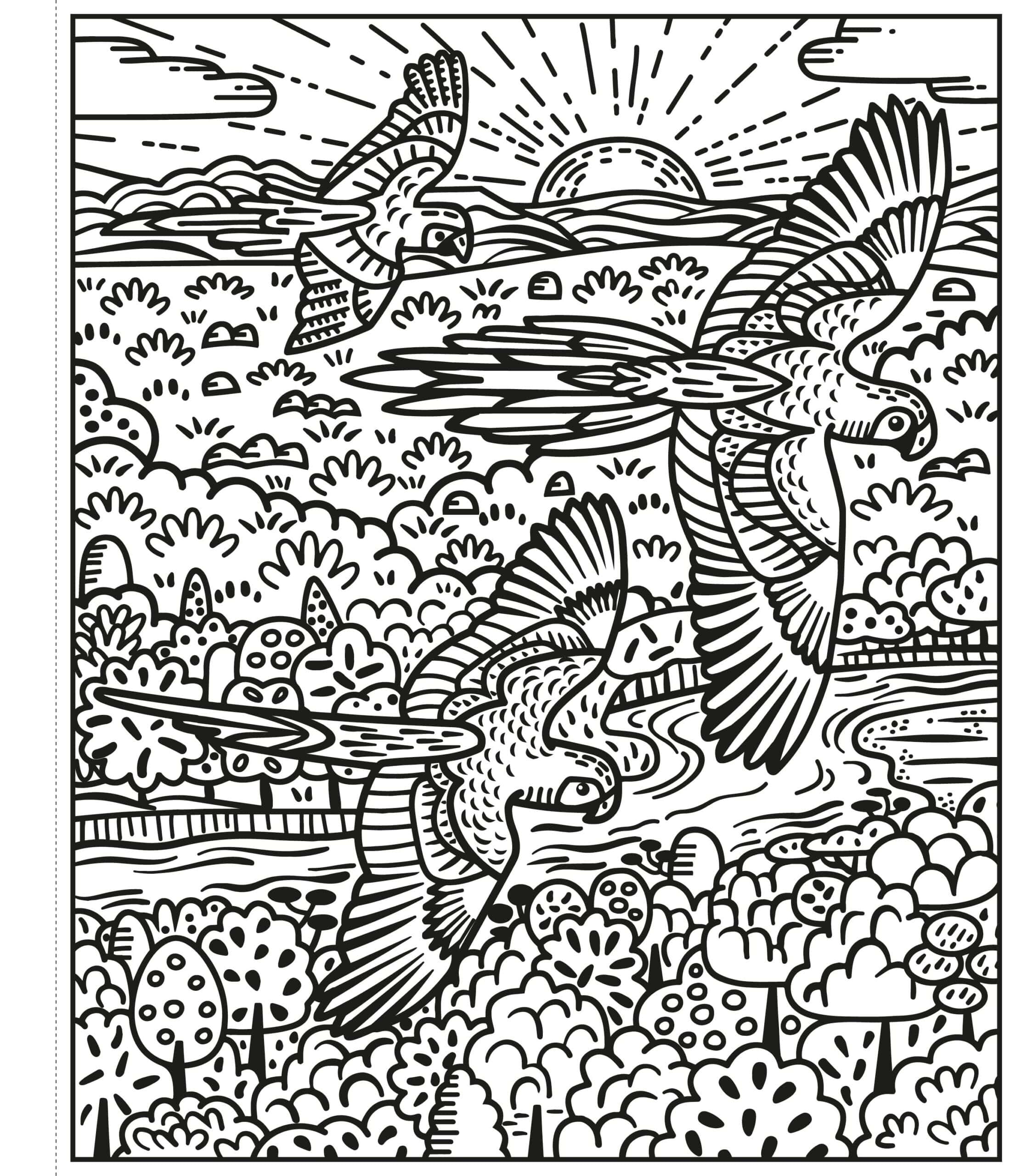 Carte de pictat cu apa - Pasari - Birds Magic Painting Book