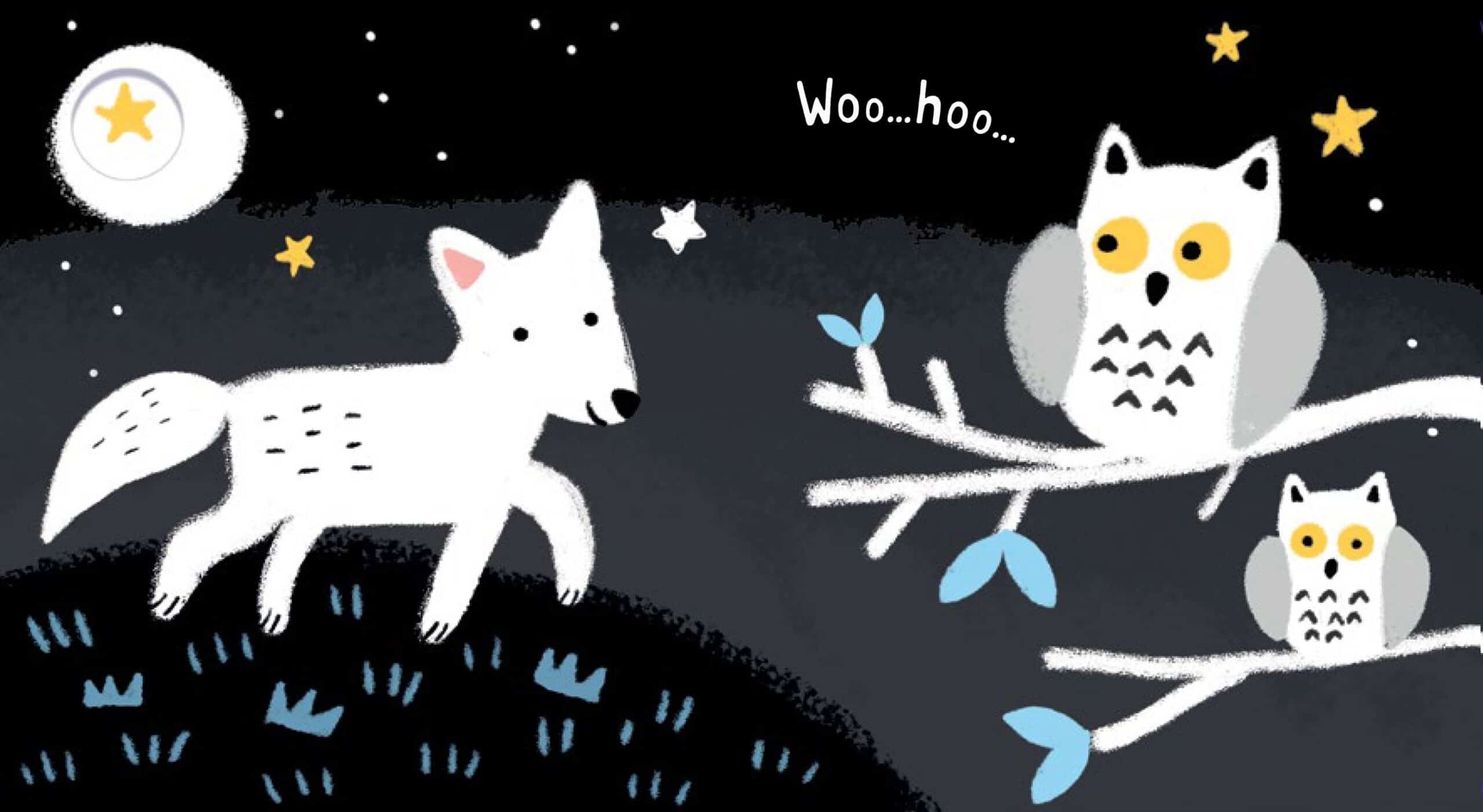 Carte pentru copii - Baby’s Black and White Books: Bedtime