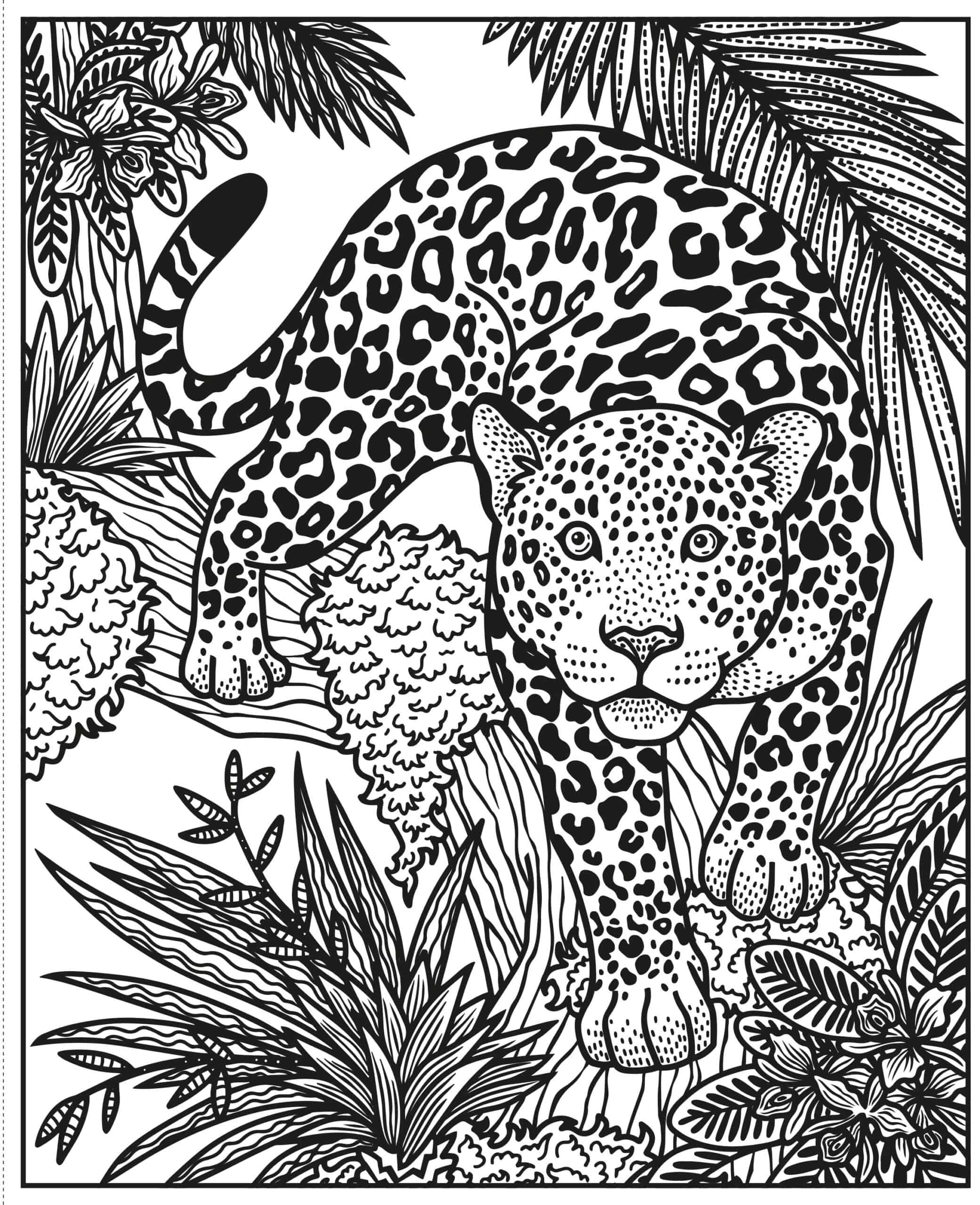 Carte de pictat cu apa - Wild Animals Magic Painting Book