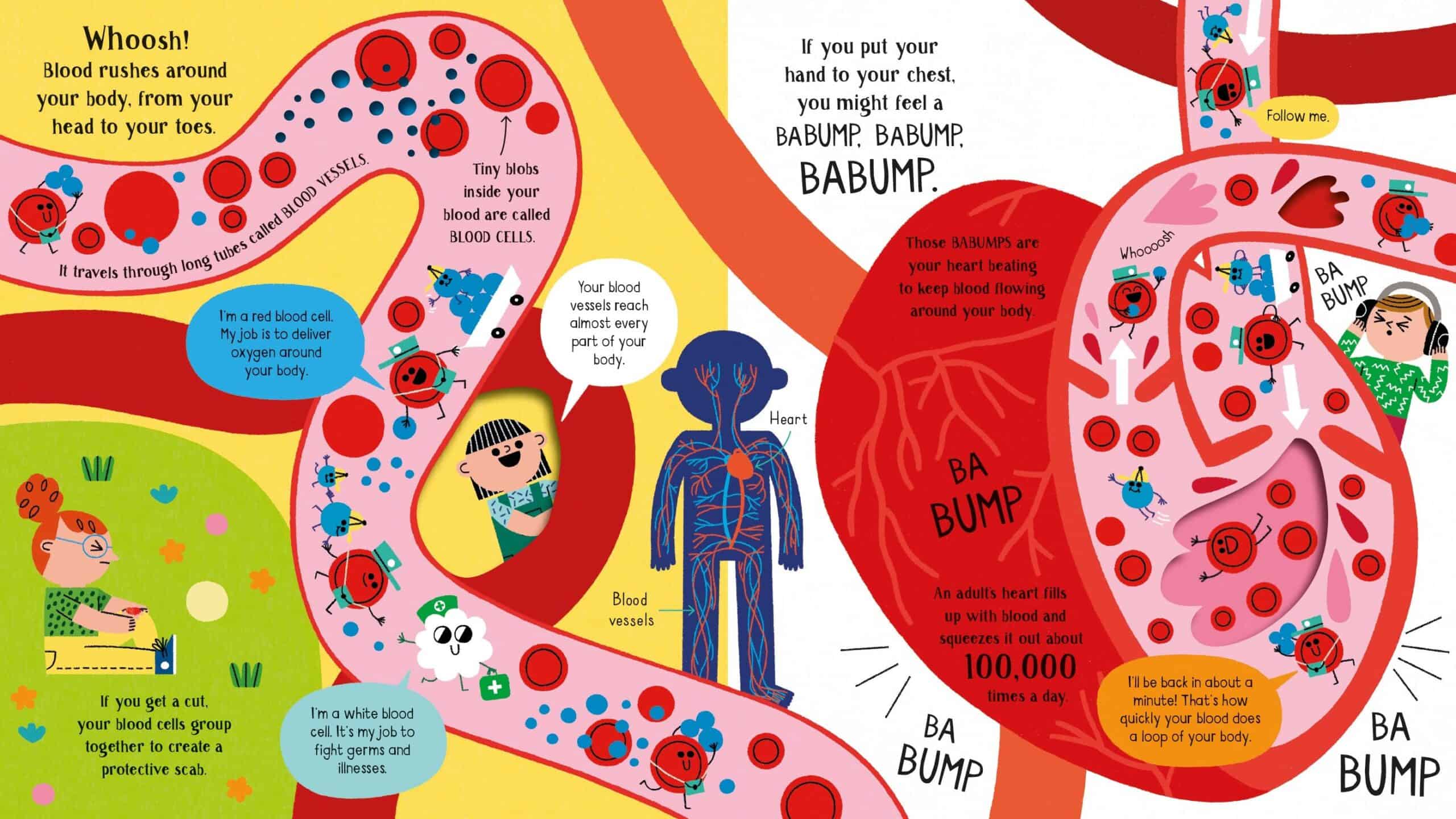 Carte pentru copii - Step inside Science: Human Body