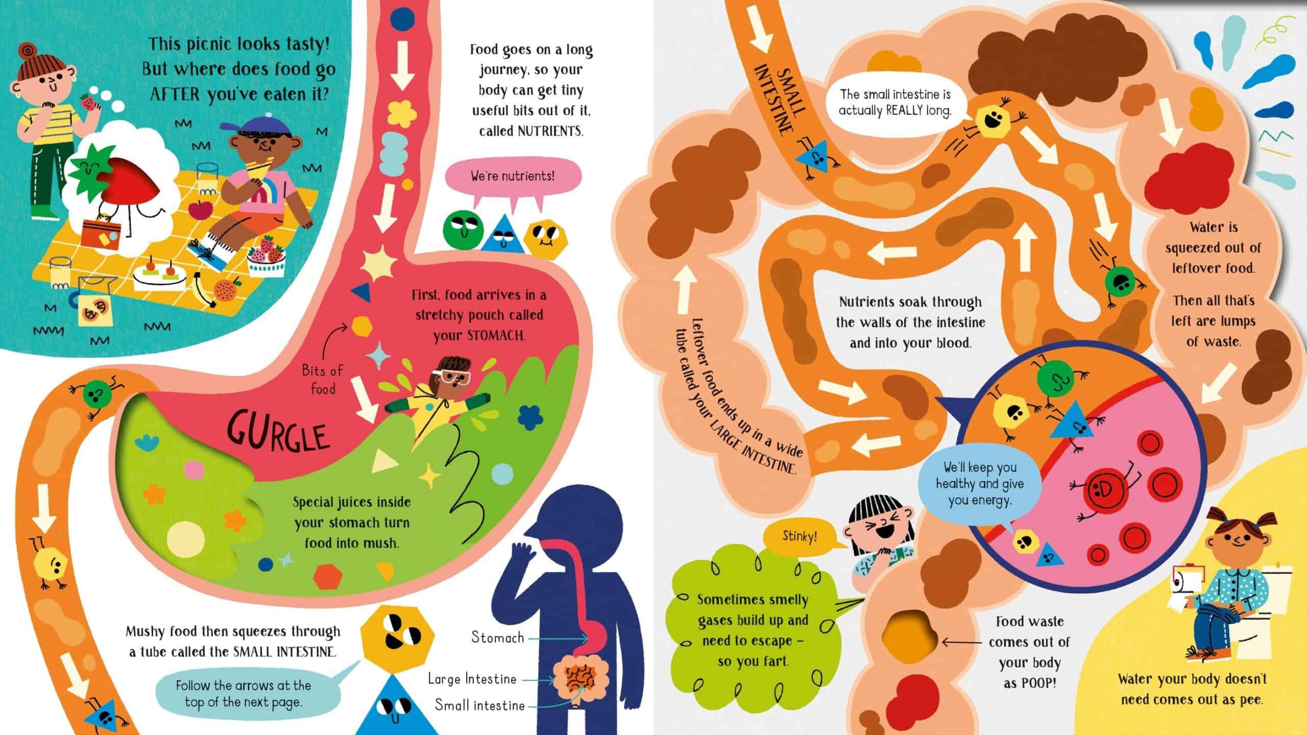 Carte pentru copii - Step inside Science: Human Body