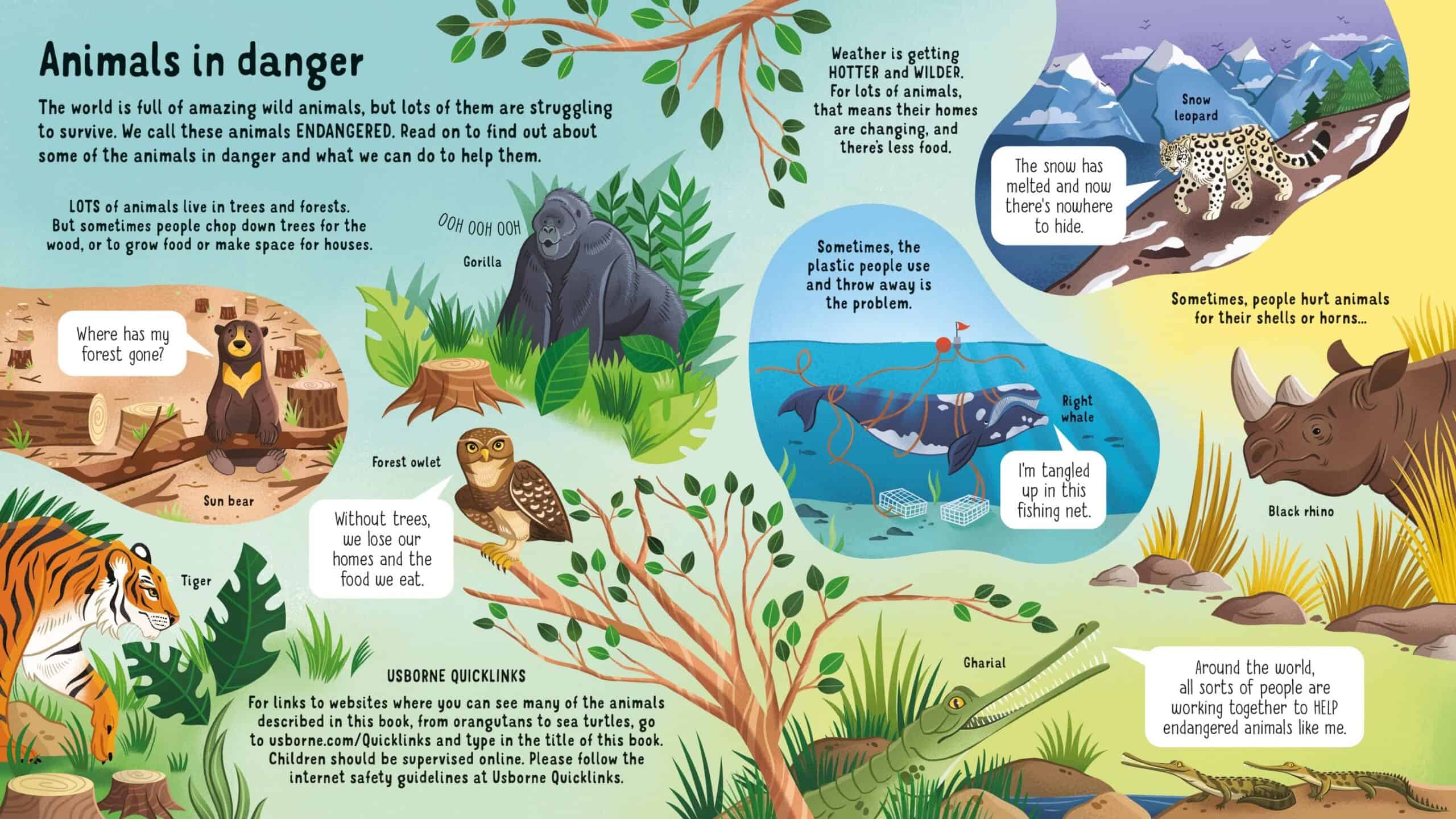 Carte pentru copii - Look inside Animals in Danger