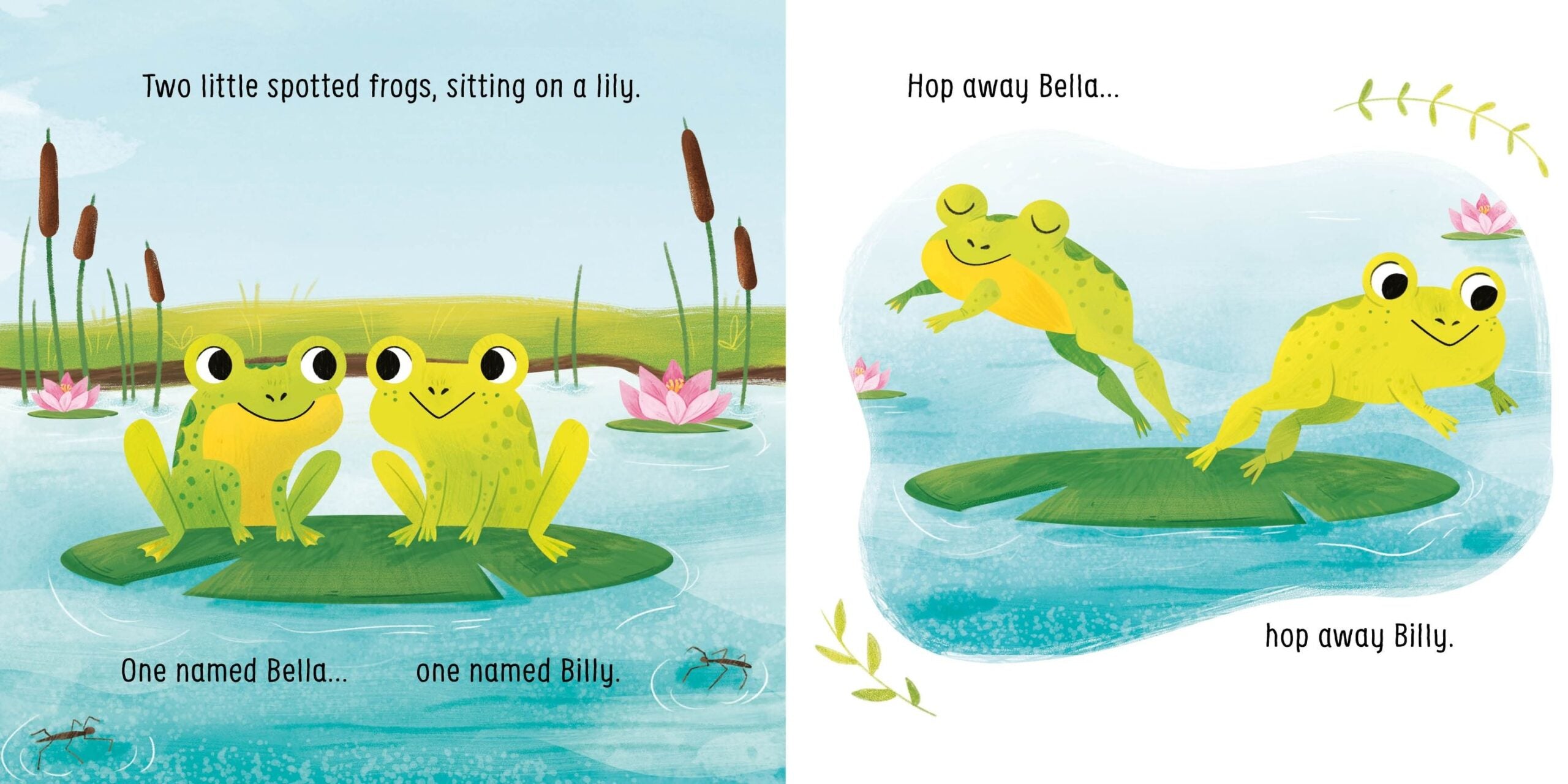 Carte Little Board Books: Two little dickie birds sitting on a wall, Usborne, + 18 luni
